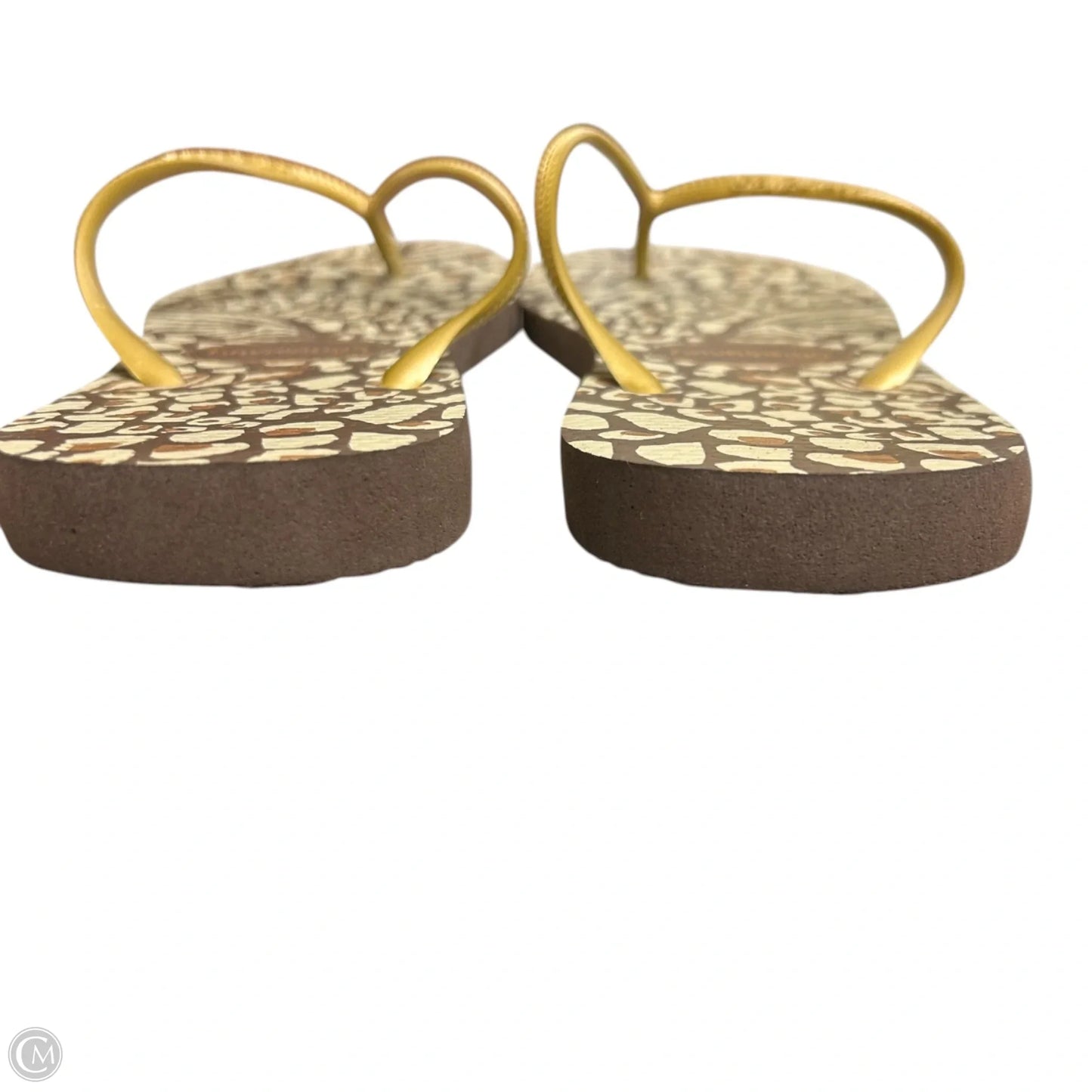 Sandals Flats By Havaianas In Brown & Gold, Size: 6
