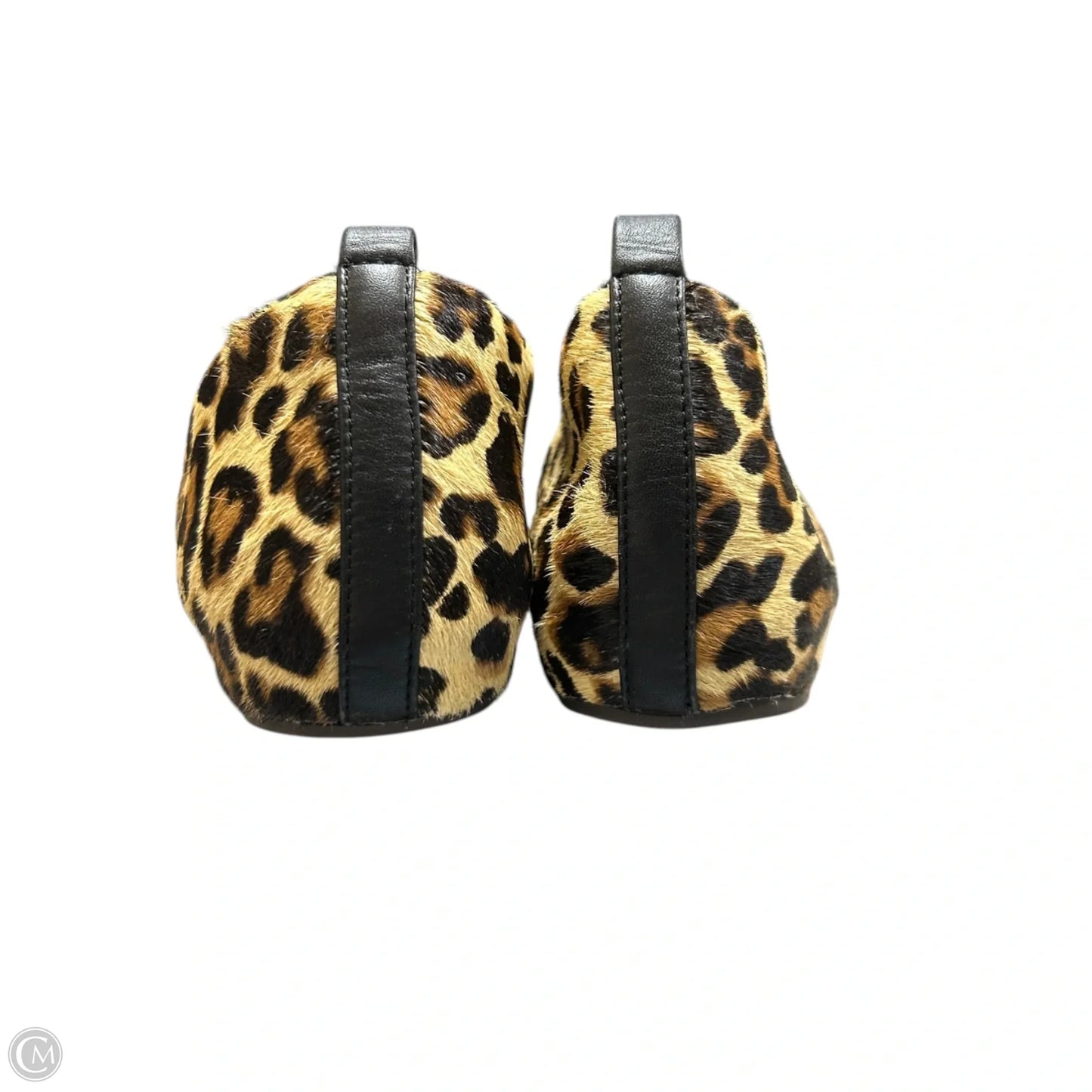 Shoes Flats By Cole-haan In Leopard Print, Size: 6