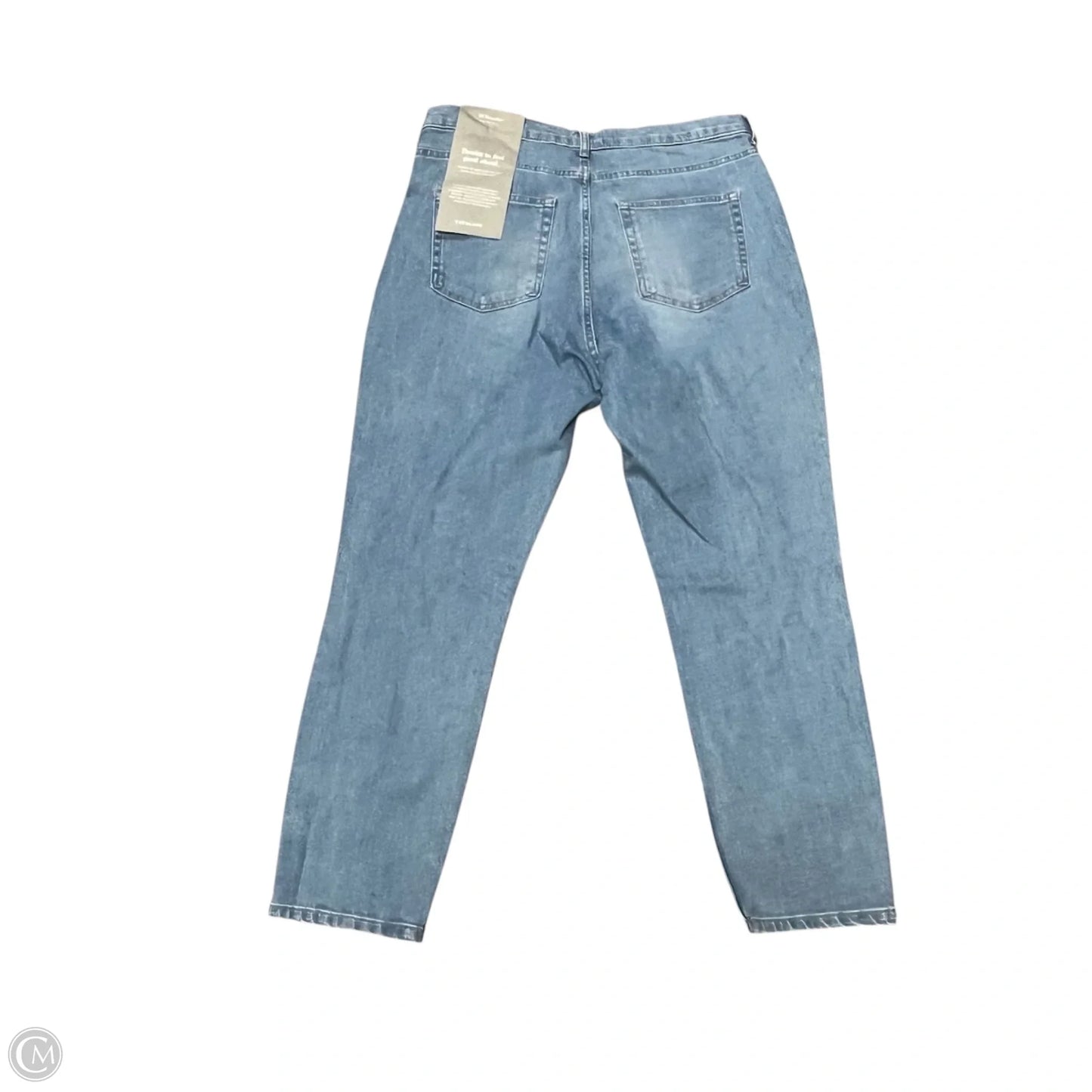 Jeans Skinny By Everlane In Blue Denim, Size: 14