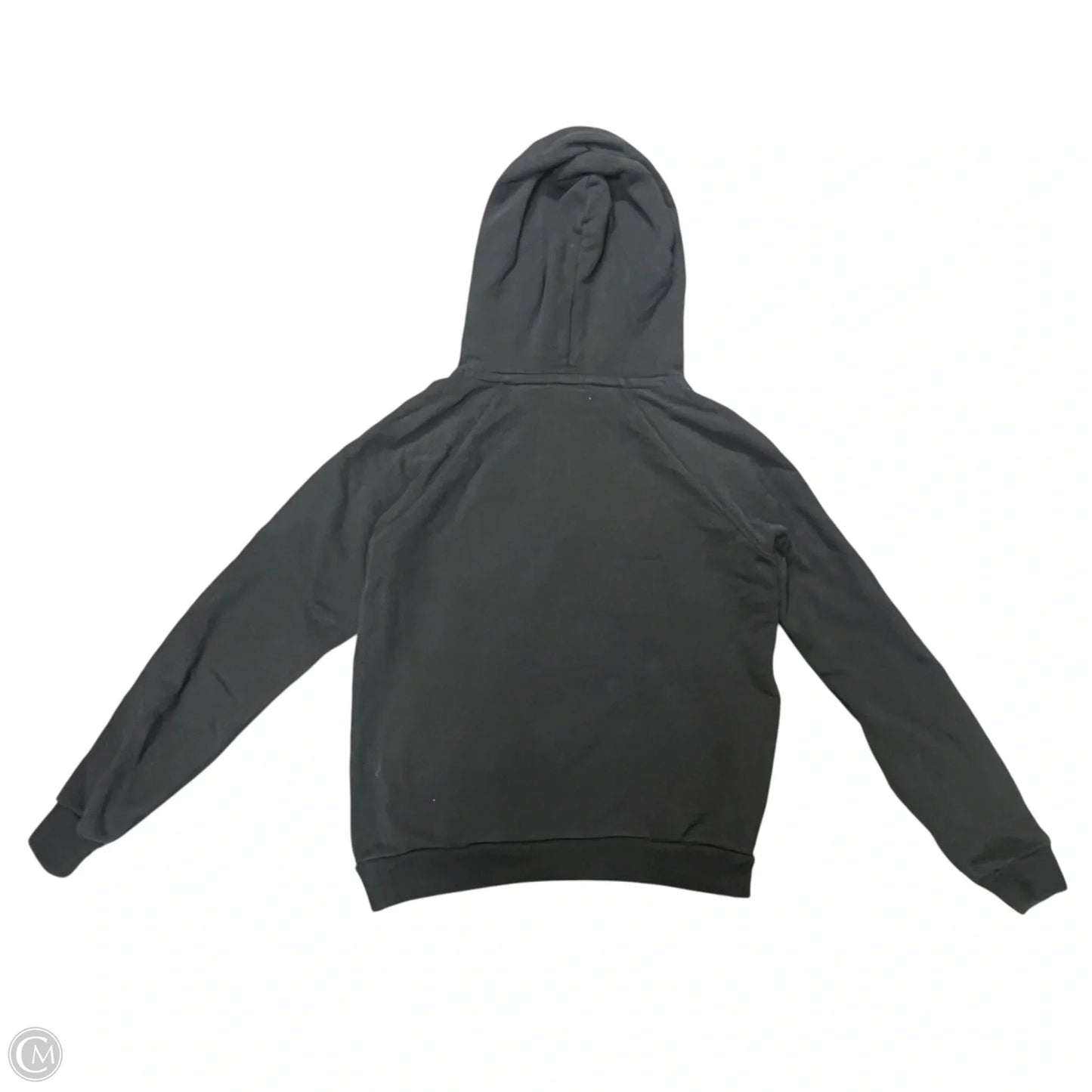 Sweatshirt Hoodie By Polo Ralph Lauren In Grey, Size: Xs
