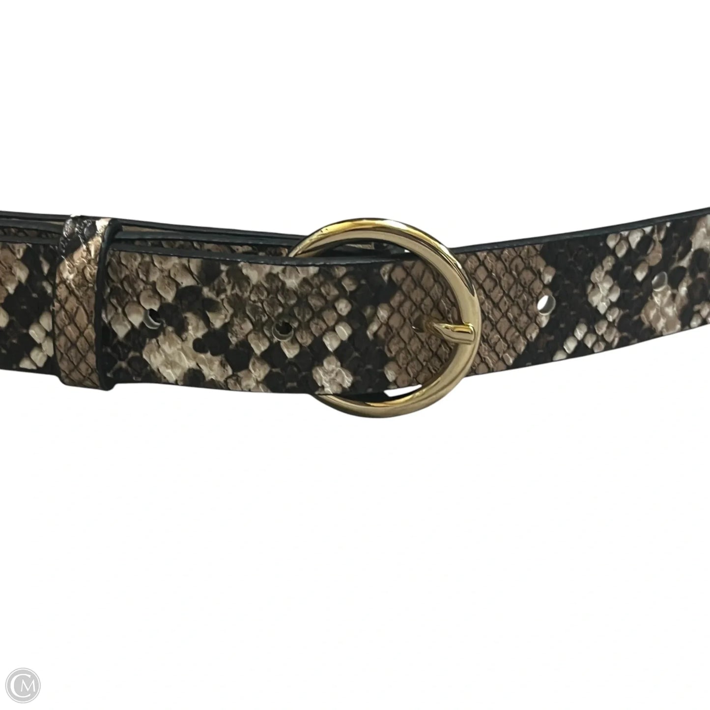 Belt By H&m, Size: Small