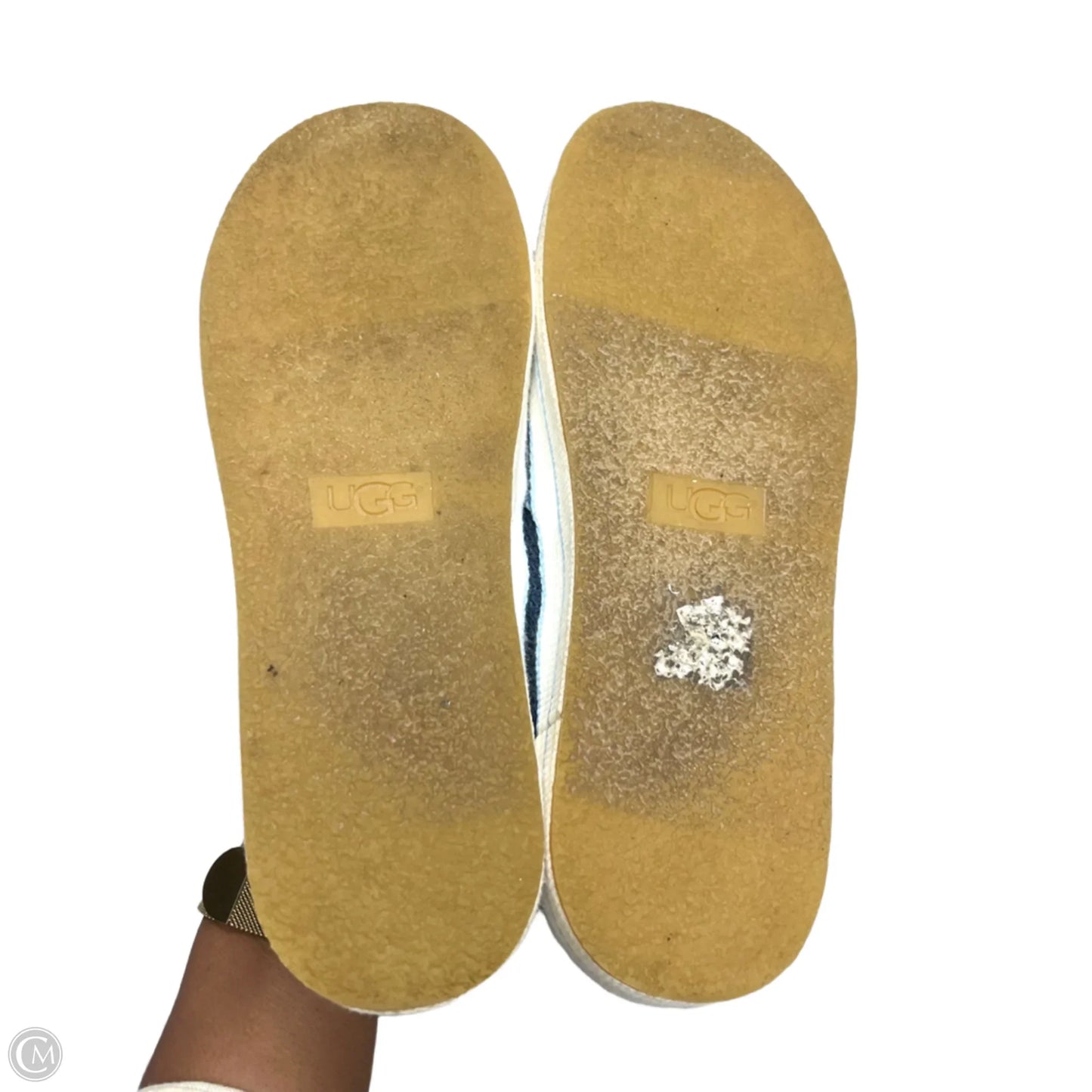 Shoes Designer By Ugg In Blue, Size: 9