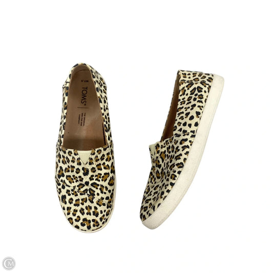 Shoes Flats By Toms In Leopard Print, Size: 7.5