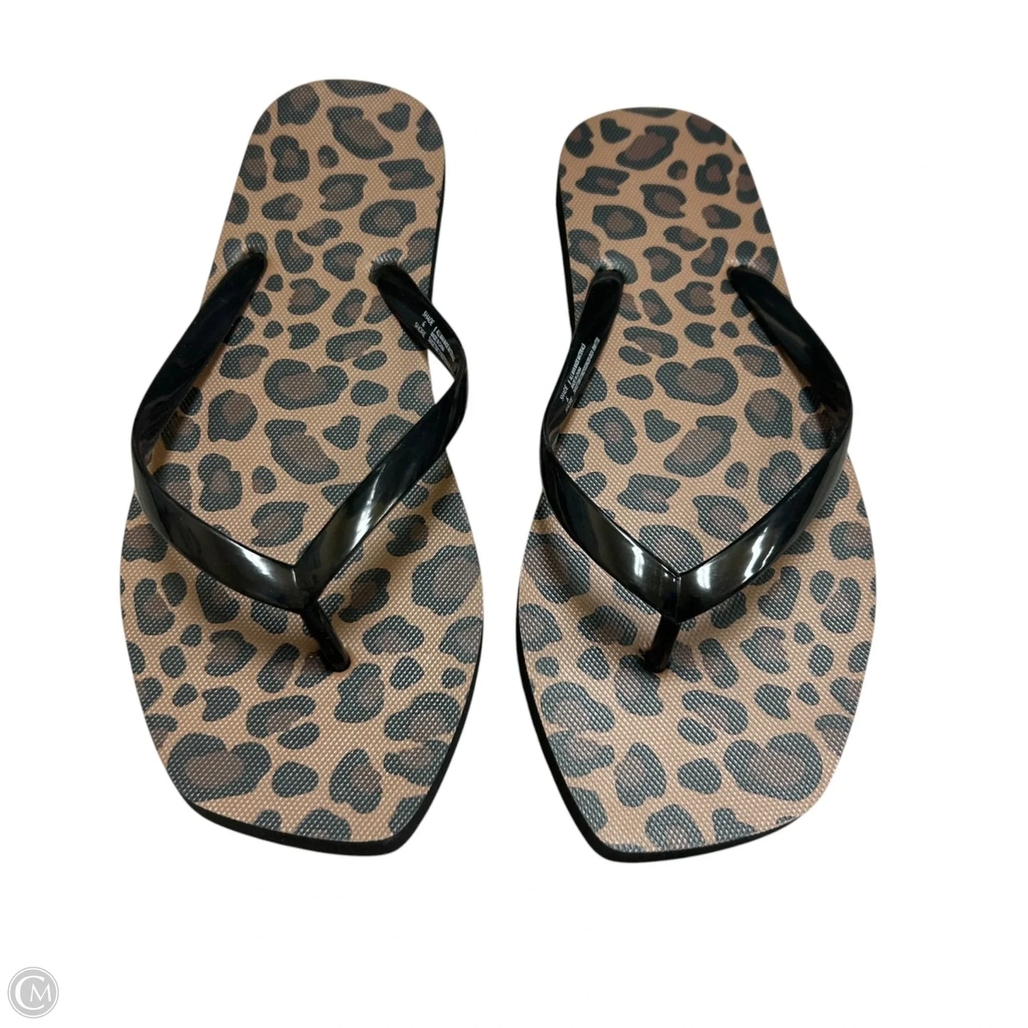 Sandals Flip Flops By Shade & Shore In Animal Print, Size: 6