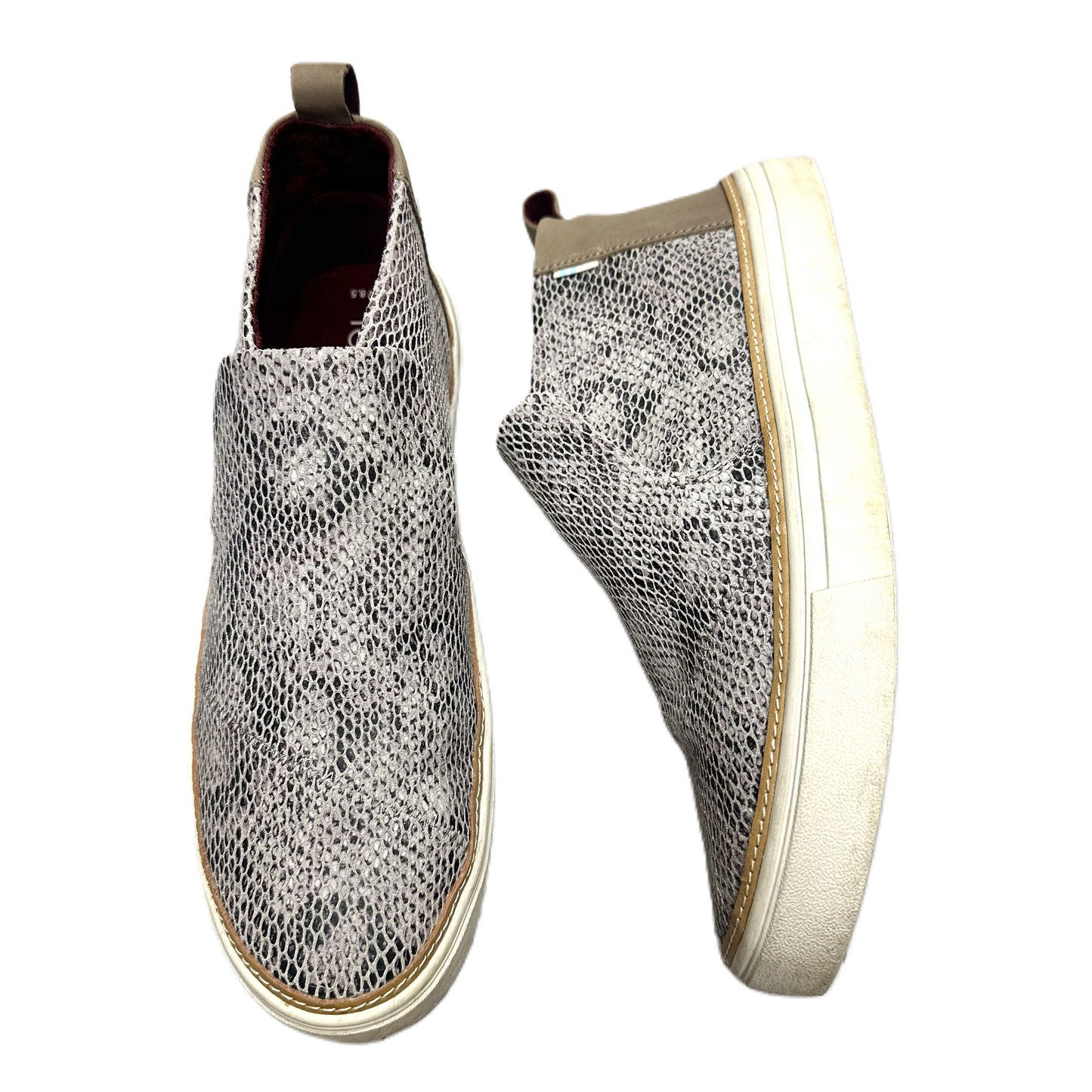 Shoes Sneakers By Toms In Snakeskin Print, Size: 8.5