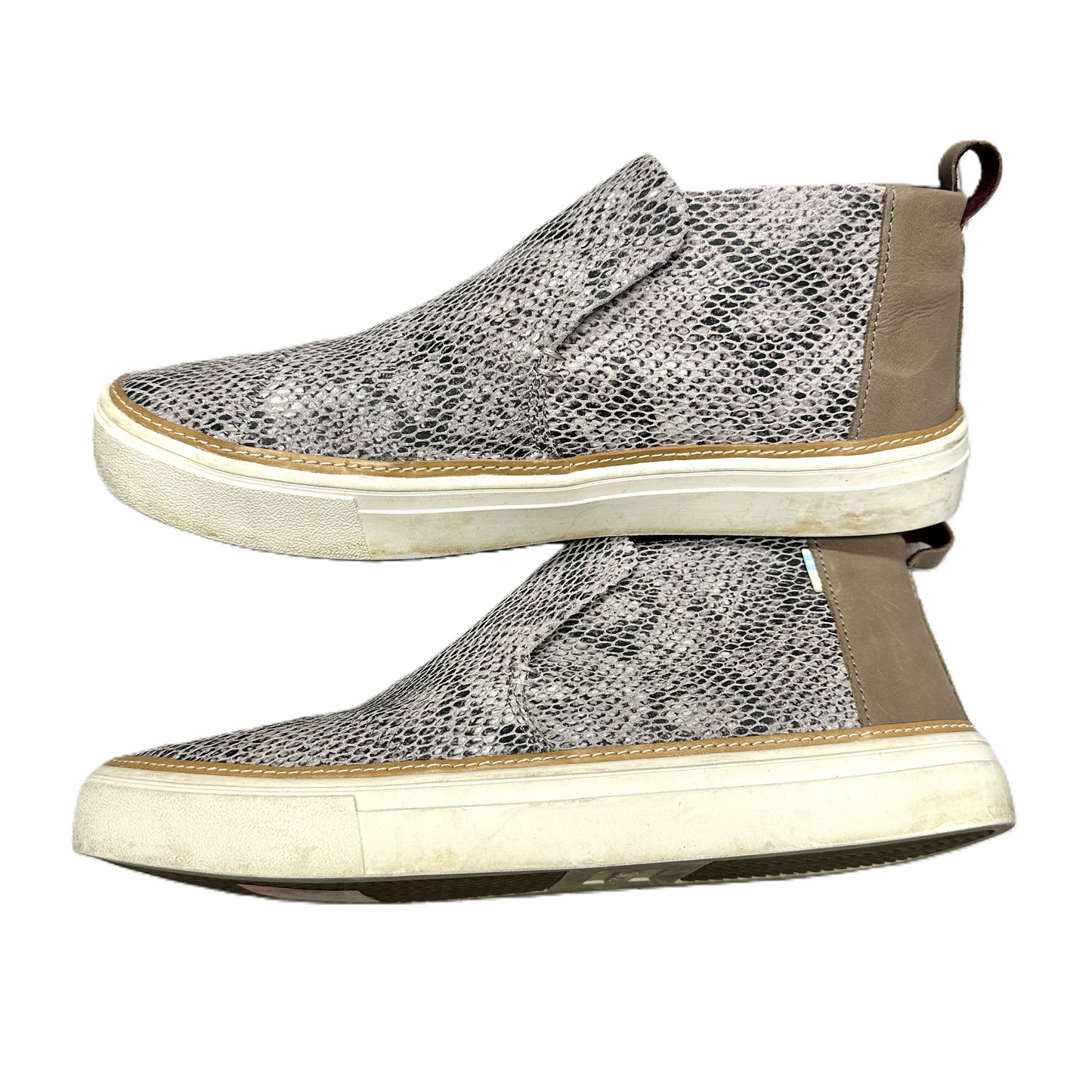 Shoes Sneakers By Toms In Snakeskin Print, Size: 8.5