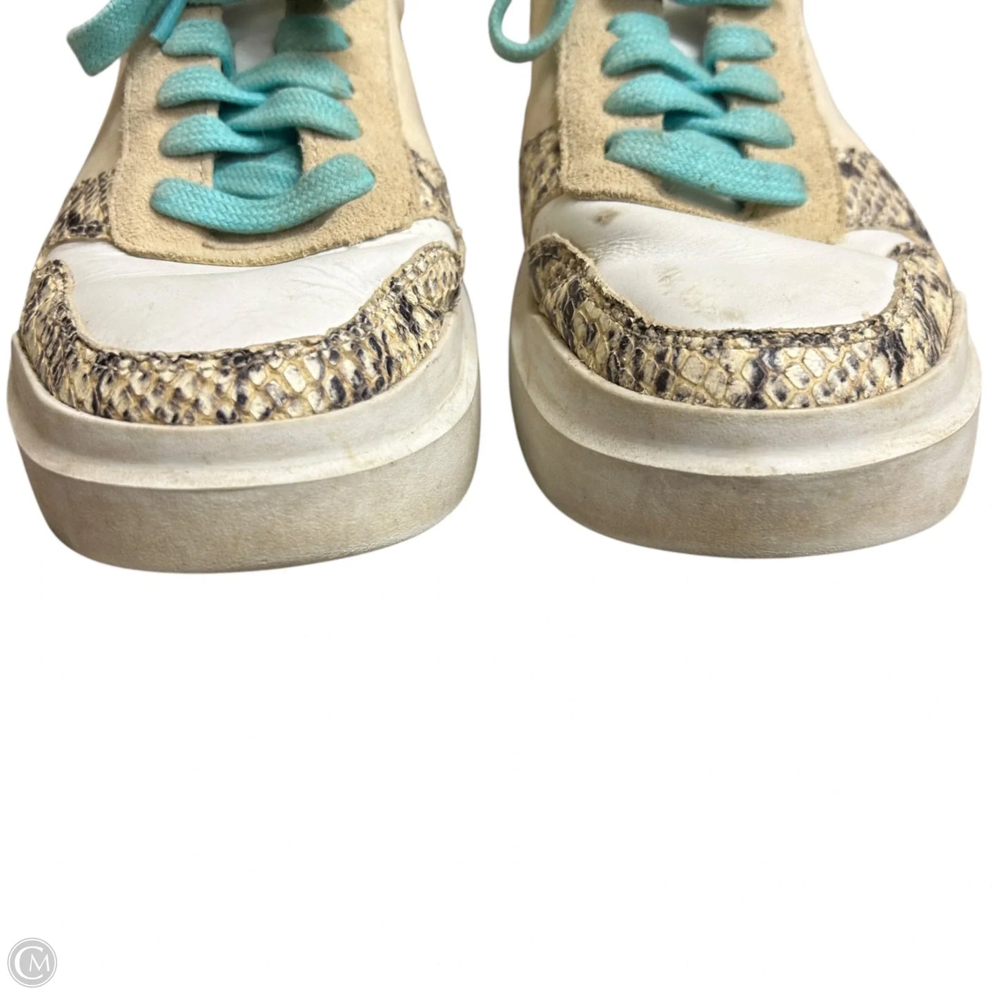 Shoes Sneakers By Cole-haan In Animal Print, Size: 7.5