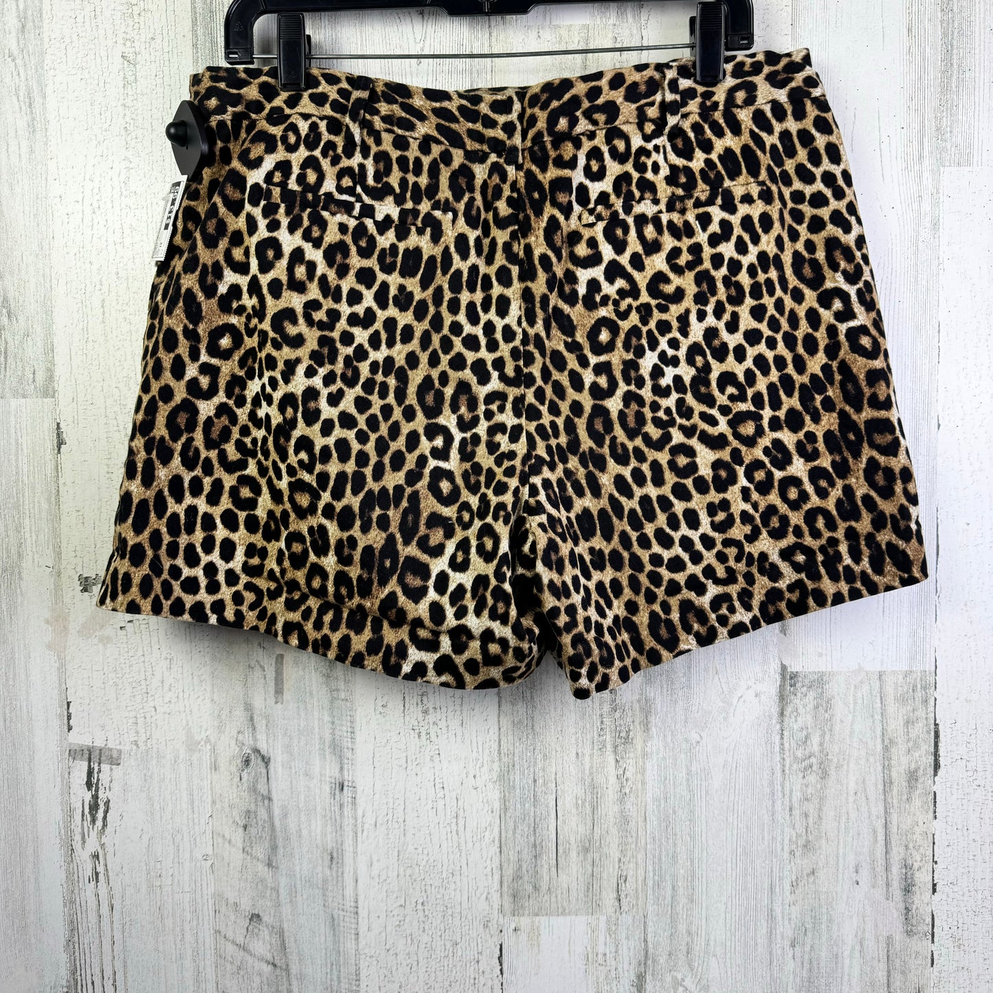 Animal Print Shorts Michael By Michael Kors, Size 14