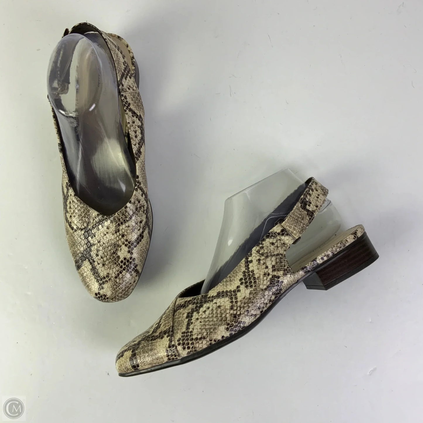 Shoes Flats By Clarks In Snakeskin Print, Size: 10
