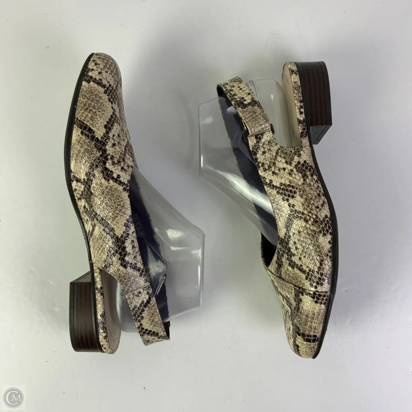 Shoes Flats By Clarks In Snakeskin Print, Size: 10