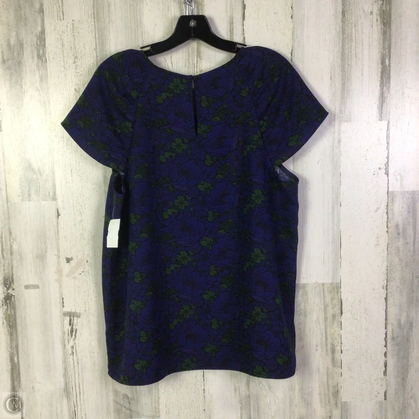 Blouse Short Sleeve By Ann Taylor In Blue & Green, Size: L