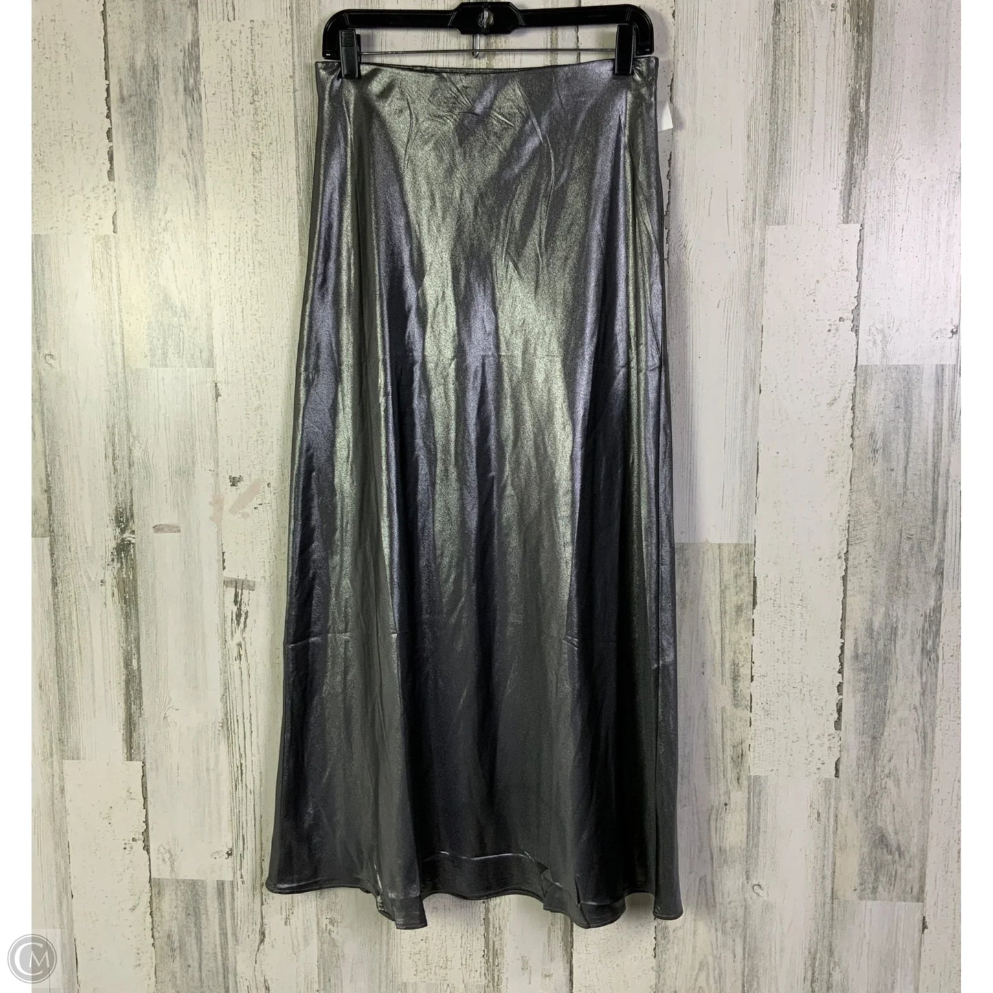 Skirt Maxi By Clothes Mentor In Silver, Size: 4