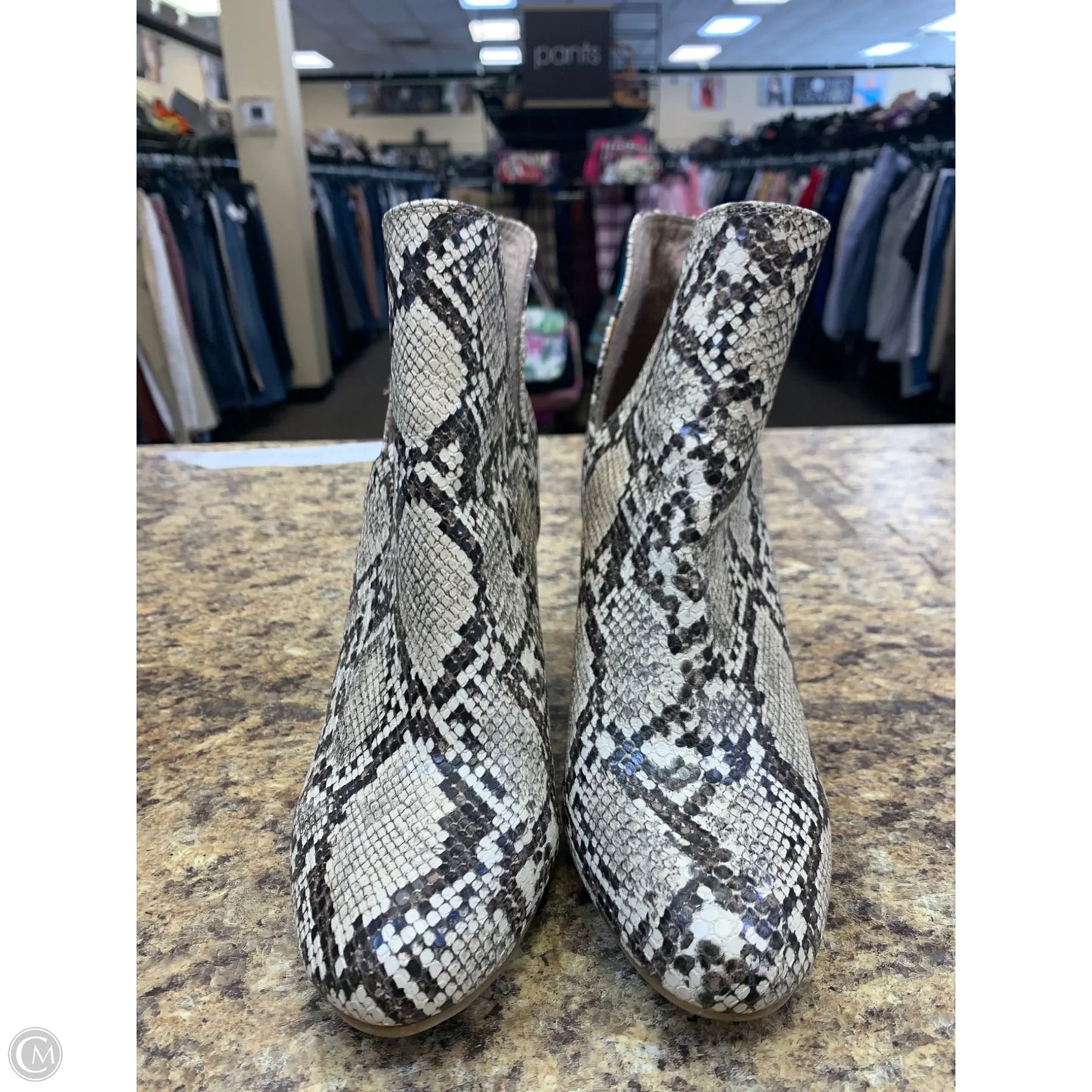 Boots Ankle Heels By Madden Girl In Snakeskin Print, Size: 7.5