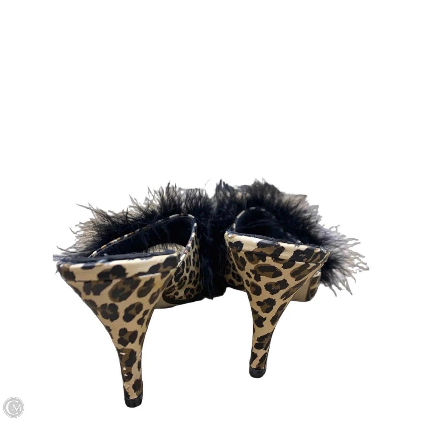 Shoes Heels Kitten By Clothes Mentor In Animal Print, Size: 7