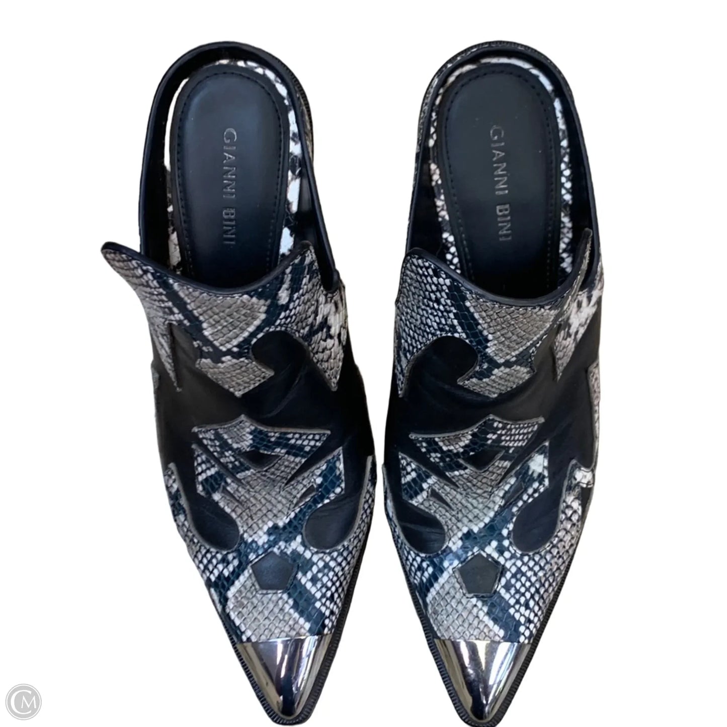 Shoes Heels Block By Gianni Bini In Snakeskin Print, Size: 8.5