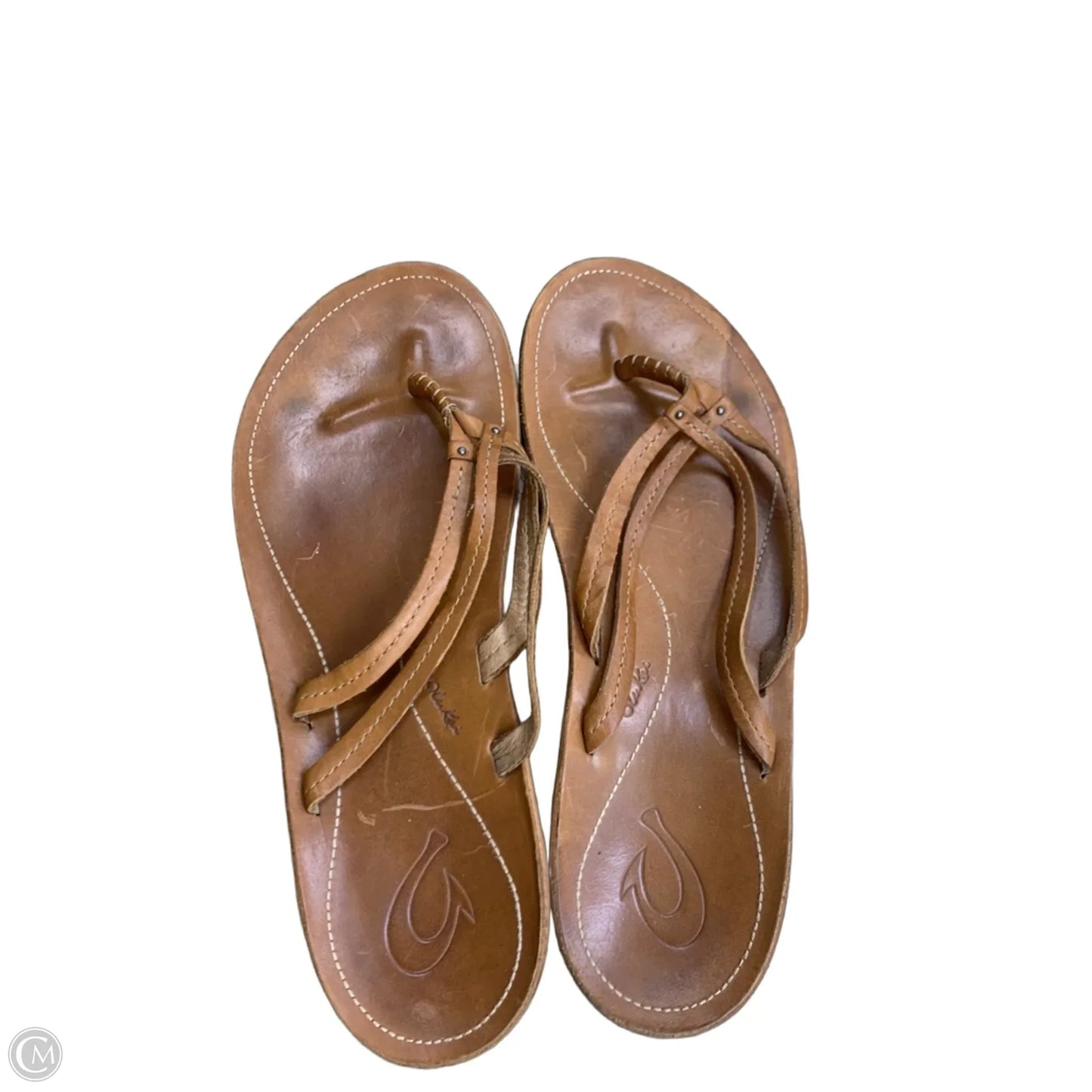 Sandals Flip Flops By Dolce Vita In Rose Gold, Size: 8