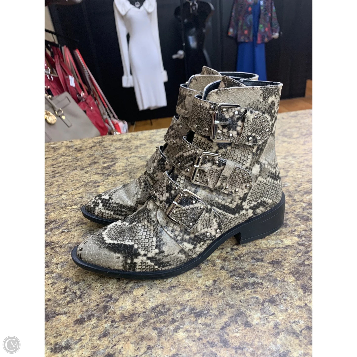 Boots Ankle Flats By Steve Madden In Snakeskin Print, Size: 6