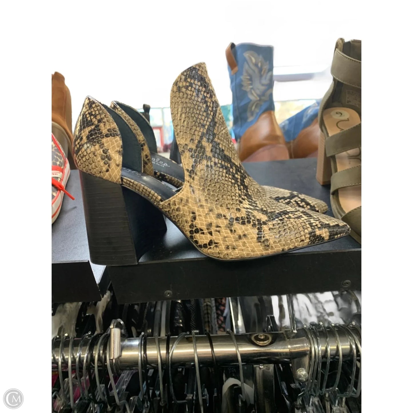 Shoes Heels Block By Charles By Charles David In Animal Print, Size: 9