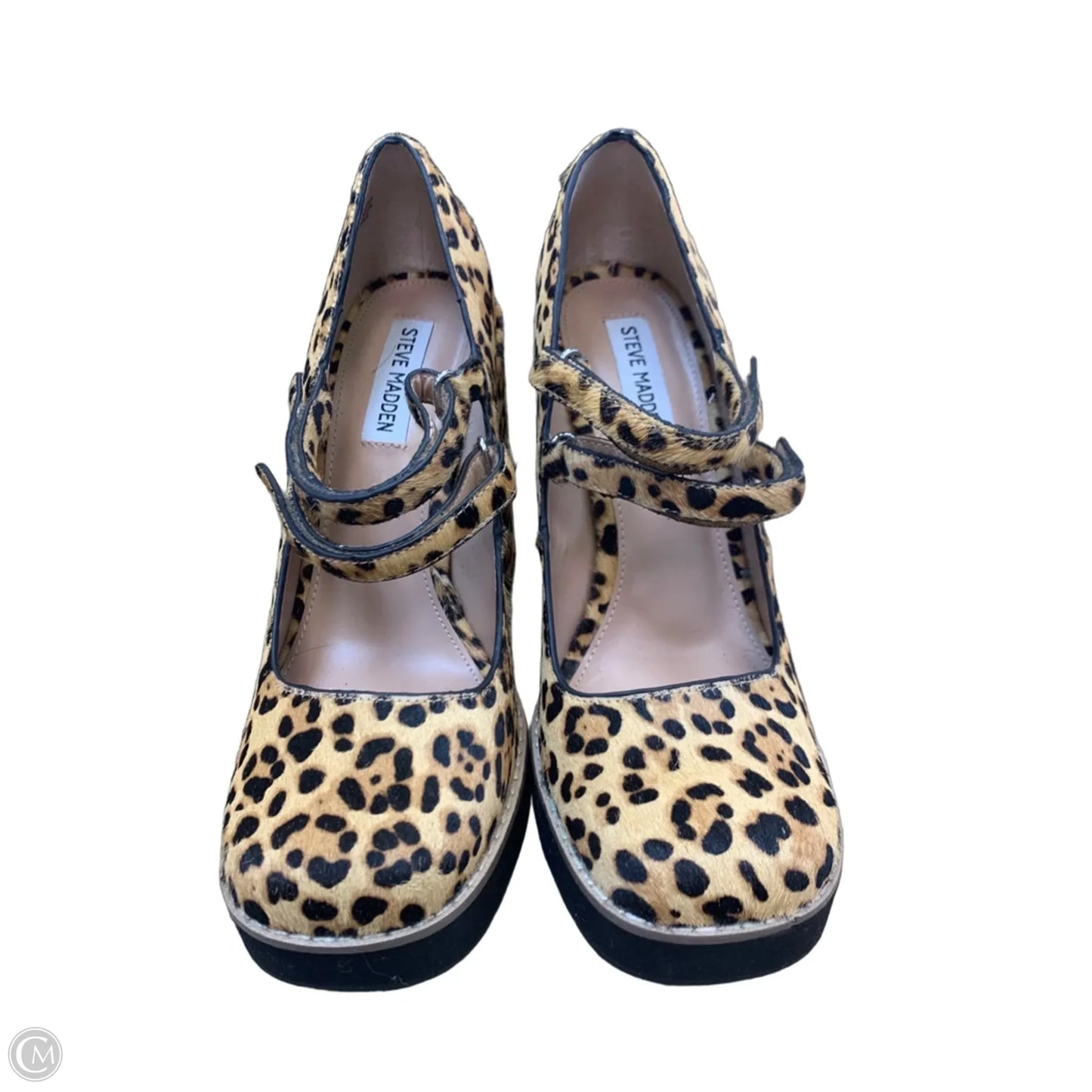 Shoes Heels Block By Steve Madden In Animal Print, Size: 8.5