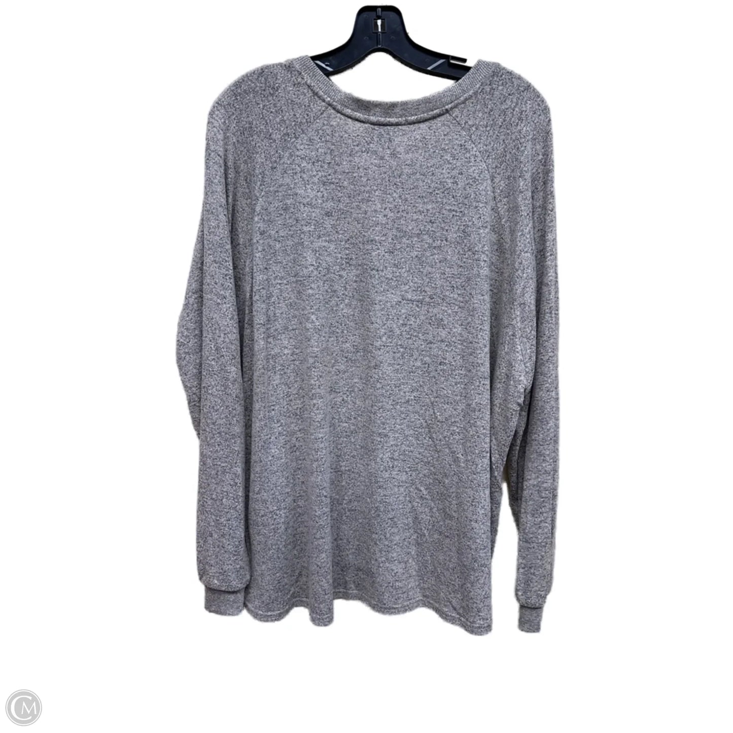 Top Long Sleeve By Z Supply In Brown, Size: L