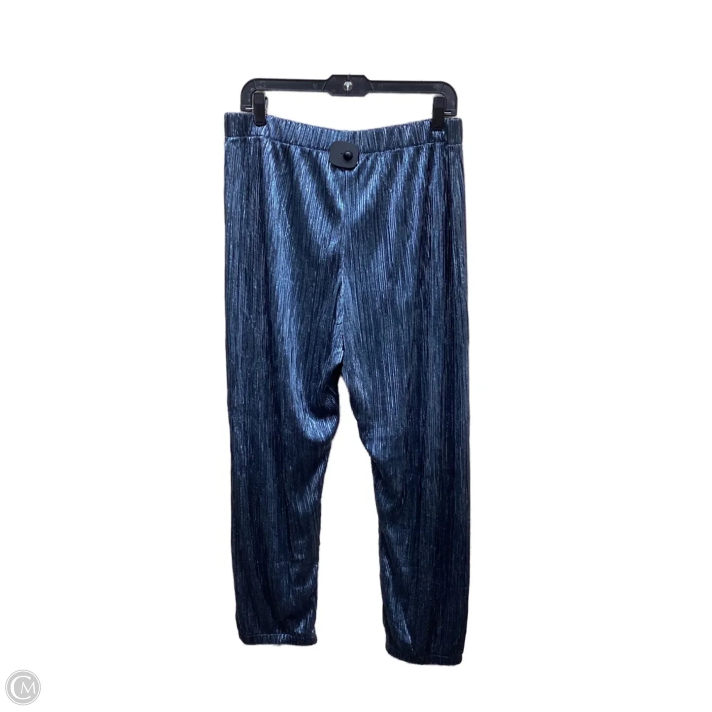 Pants Other By Victorias Secret In Blue, Size: L