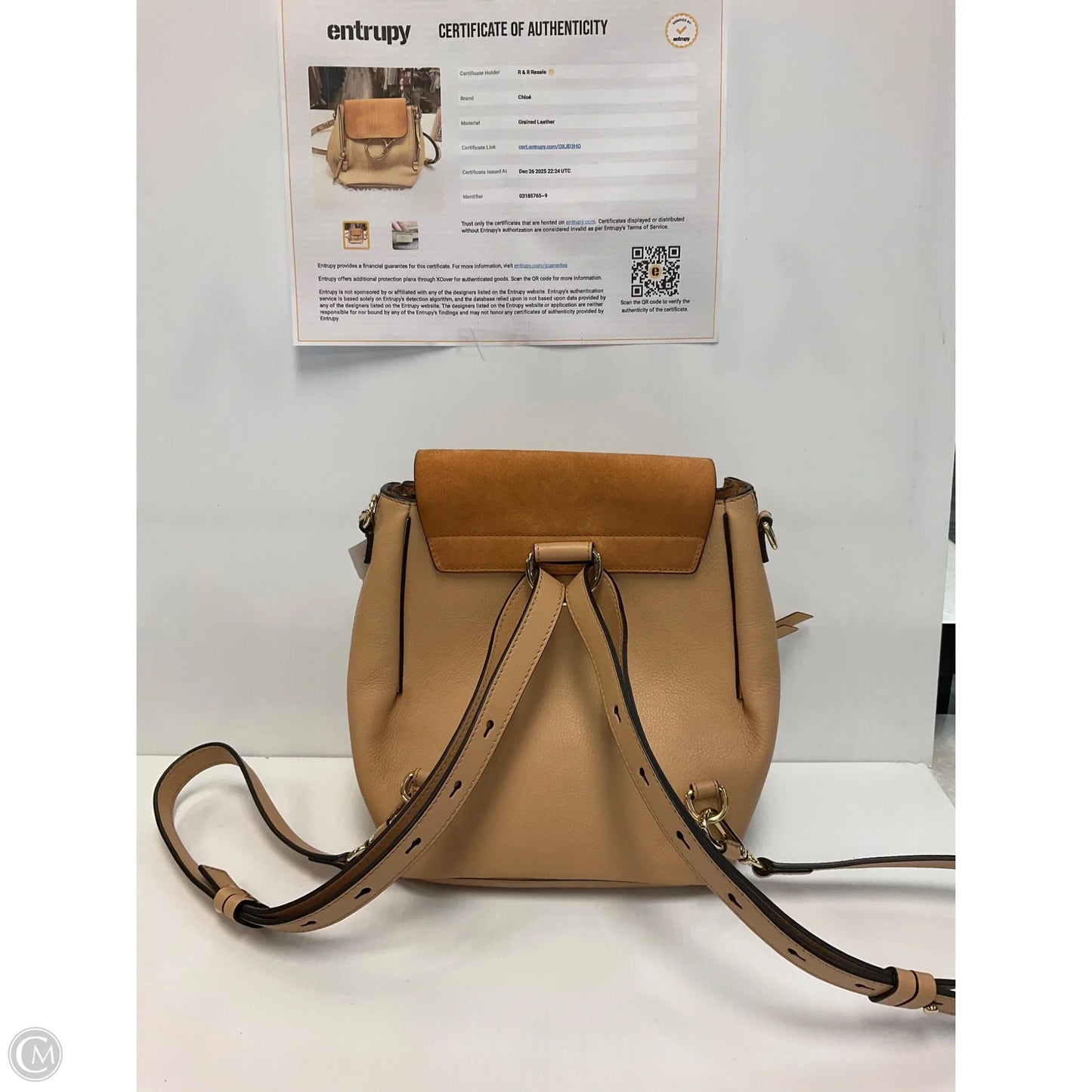 Backpack Luxury Designer By Chloe, Size: Small