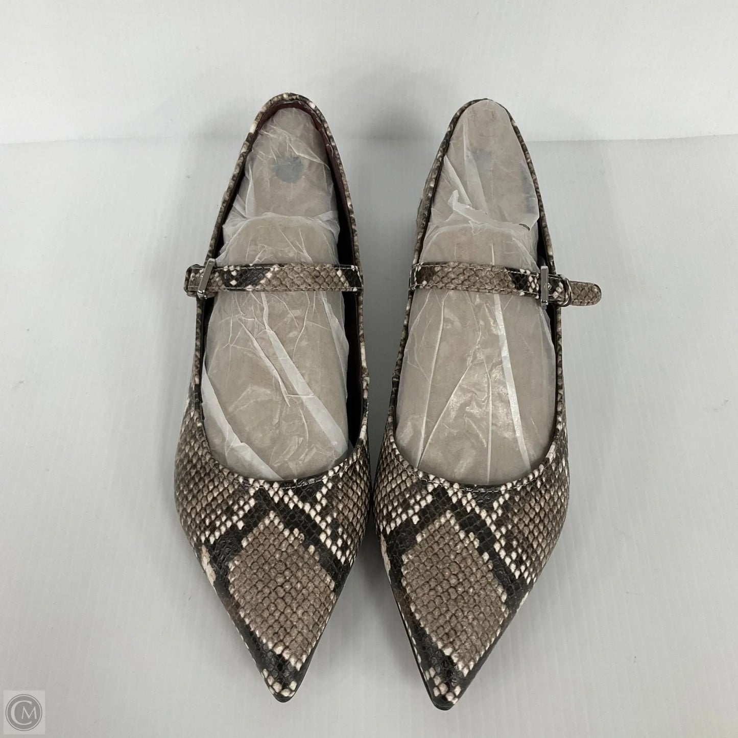 Shoes Flats By Franco Sarto In Snakeskin Print, Size: 7