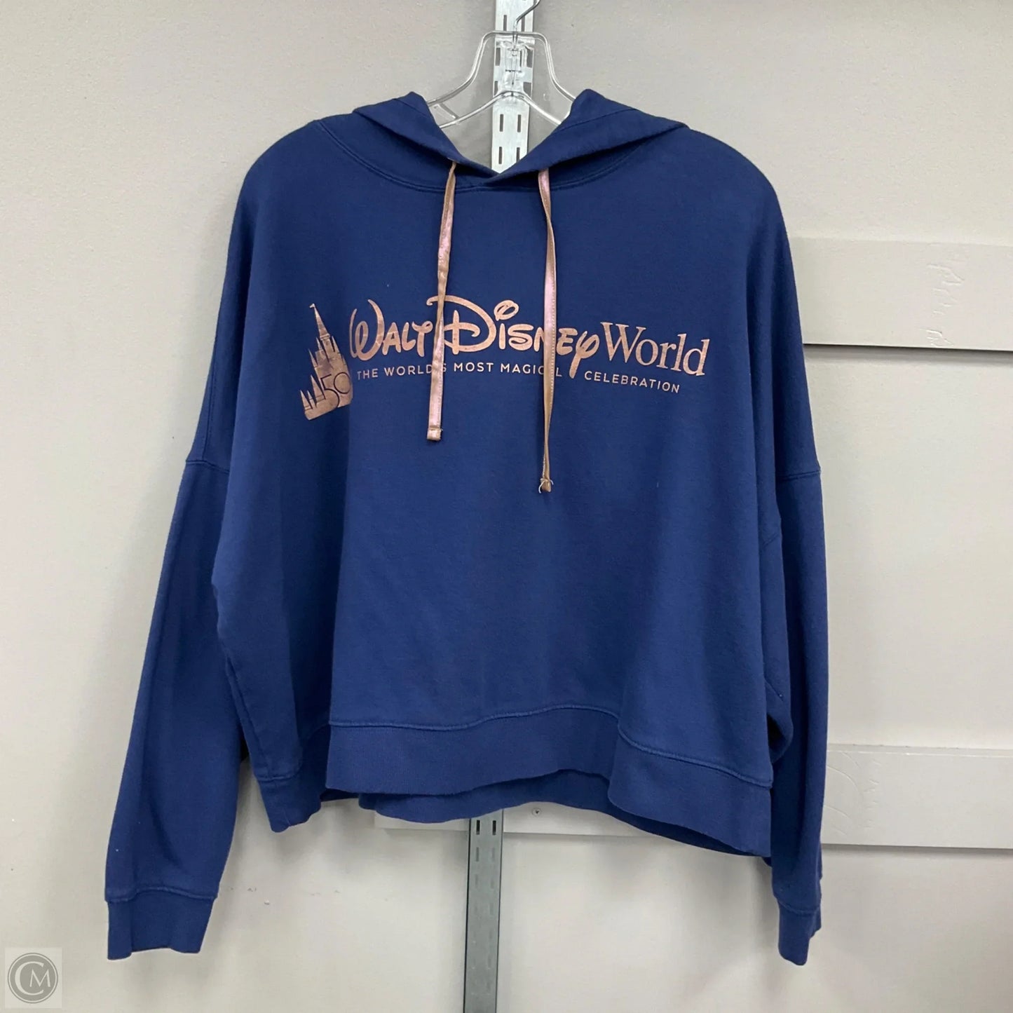Sweatshirt Hoodie By Disney Store In Blue, Size: 1x