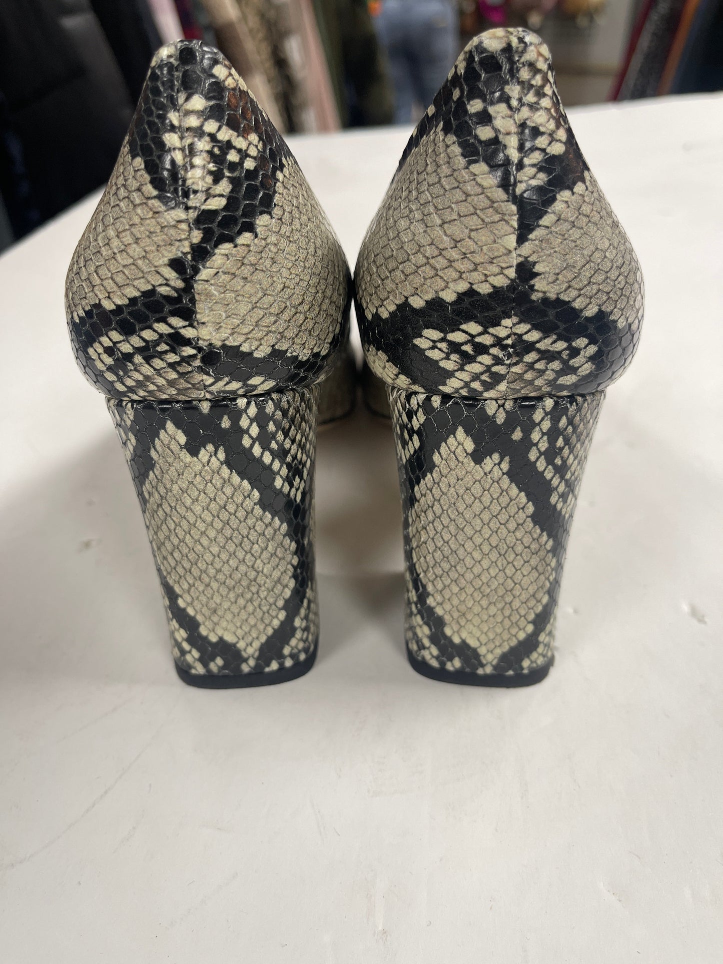Snakeskin Print Shoes Heels Block Via Spiga, Size 10