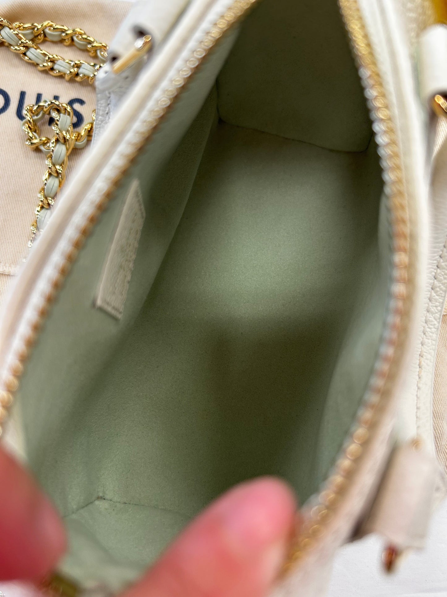Handbag Luxury Designer By Louis Vuitton