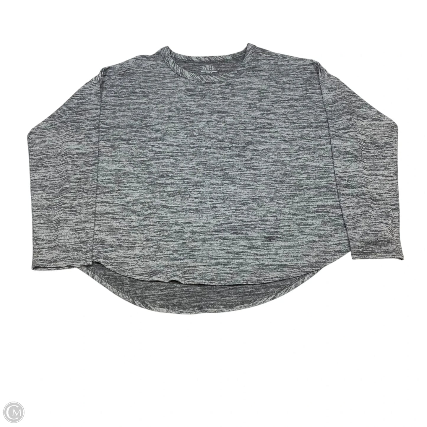 Top Long Sleeve Basic By Time And Tru In Grey, Size: L
