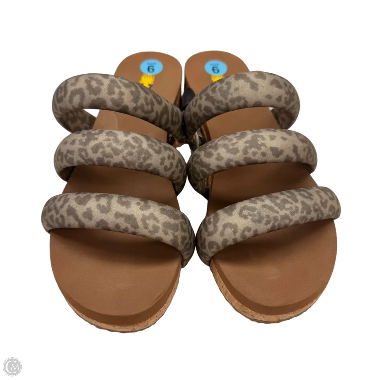 Sandals Flats By Volatile In Animal Print, Size: 6