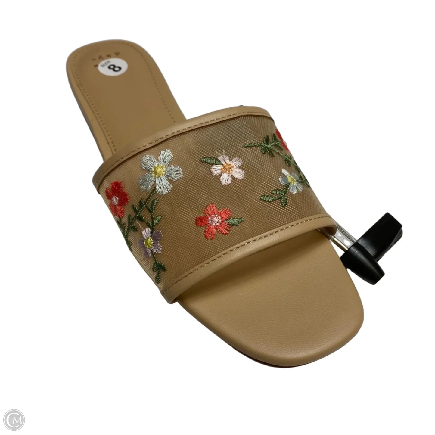 Sandals Flats By A New Day In Tan, Size: 8
