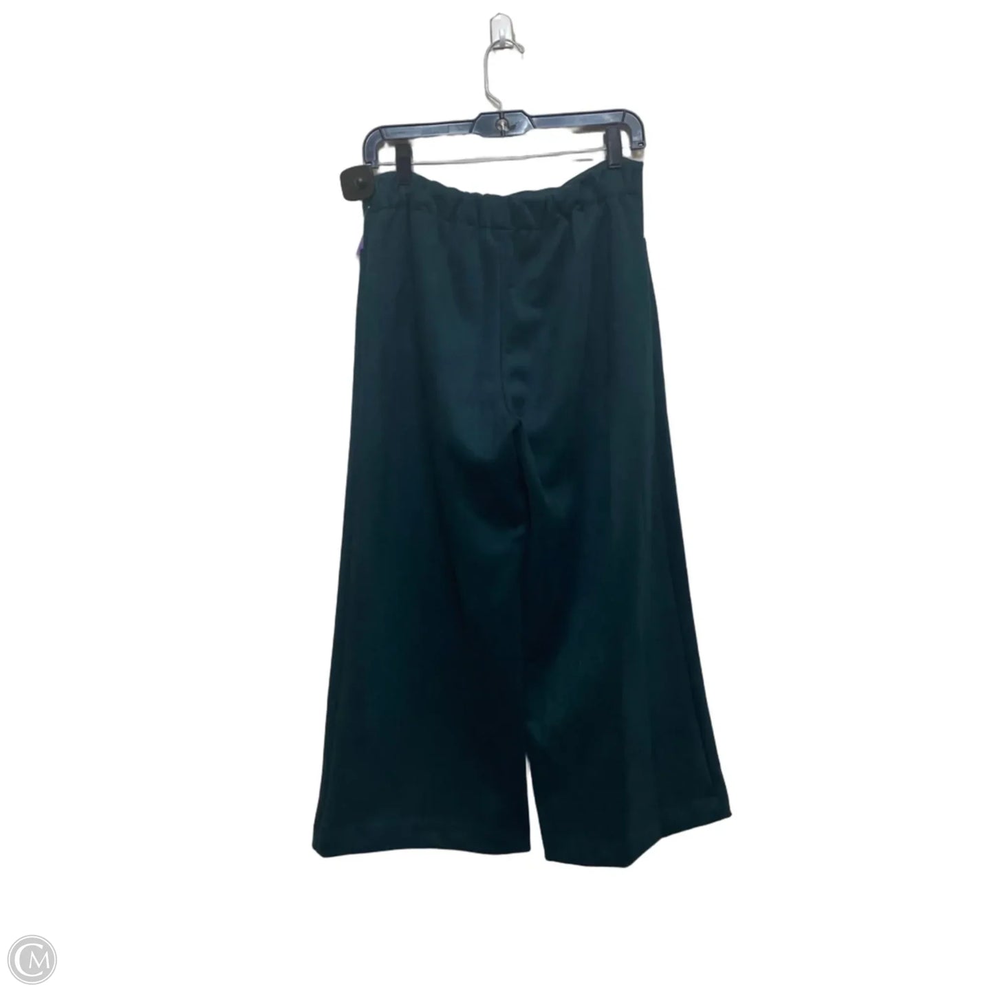Pants Wide Leg By Tahari In Teal, Size: S