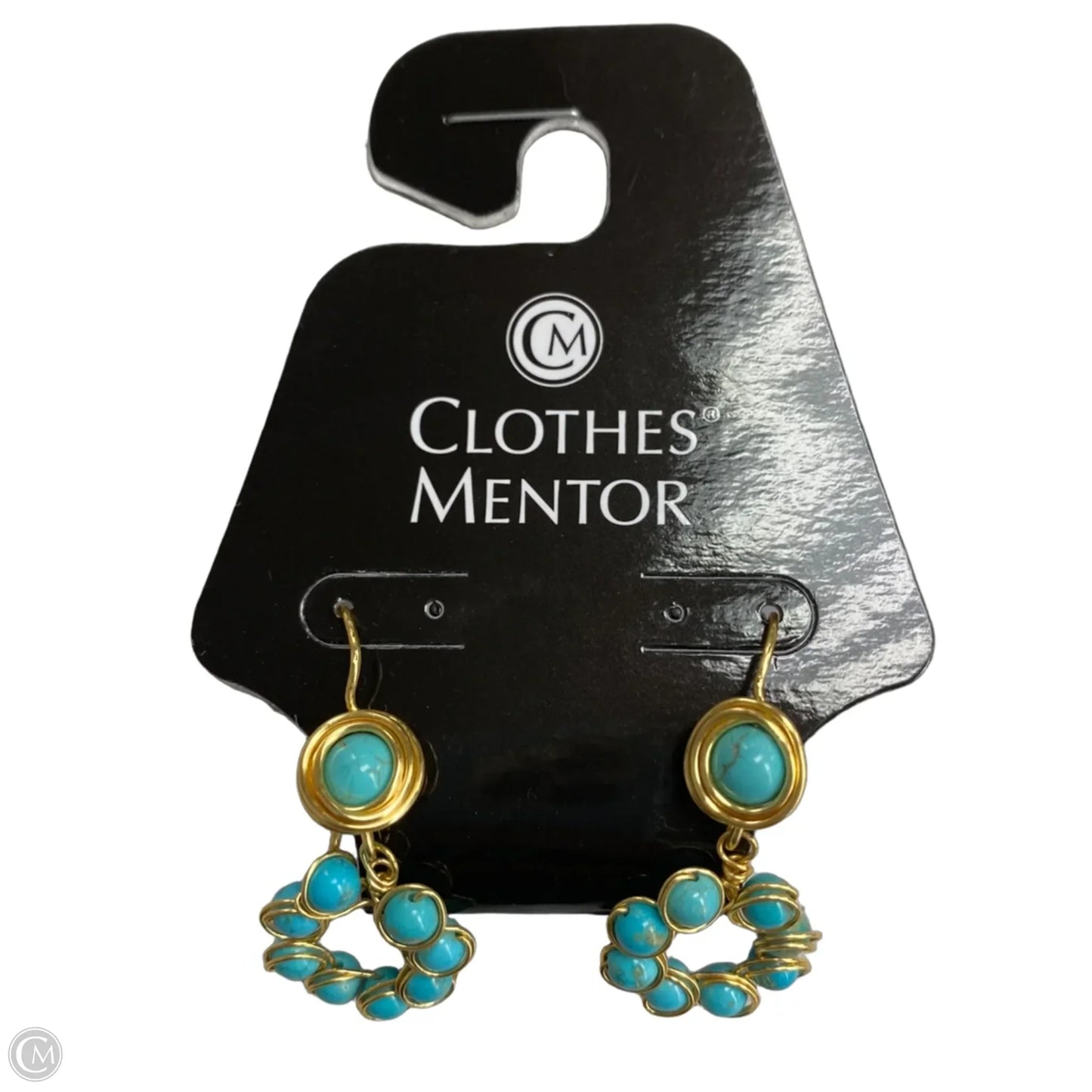 Earrings Dangle/drop By Clothes Mentor