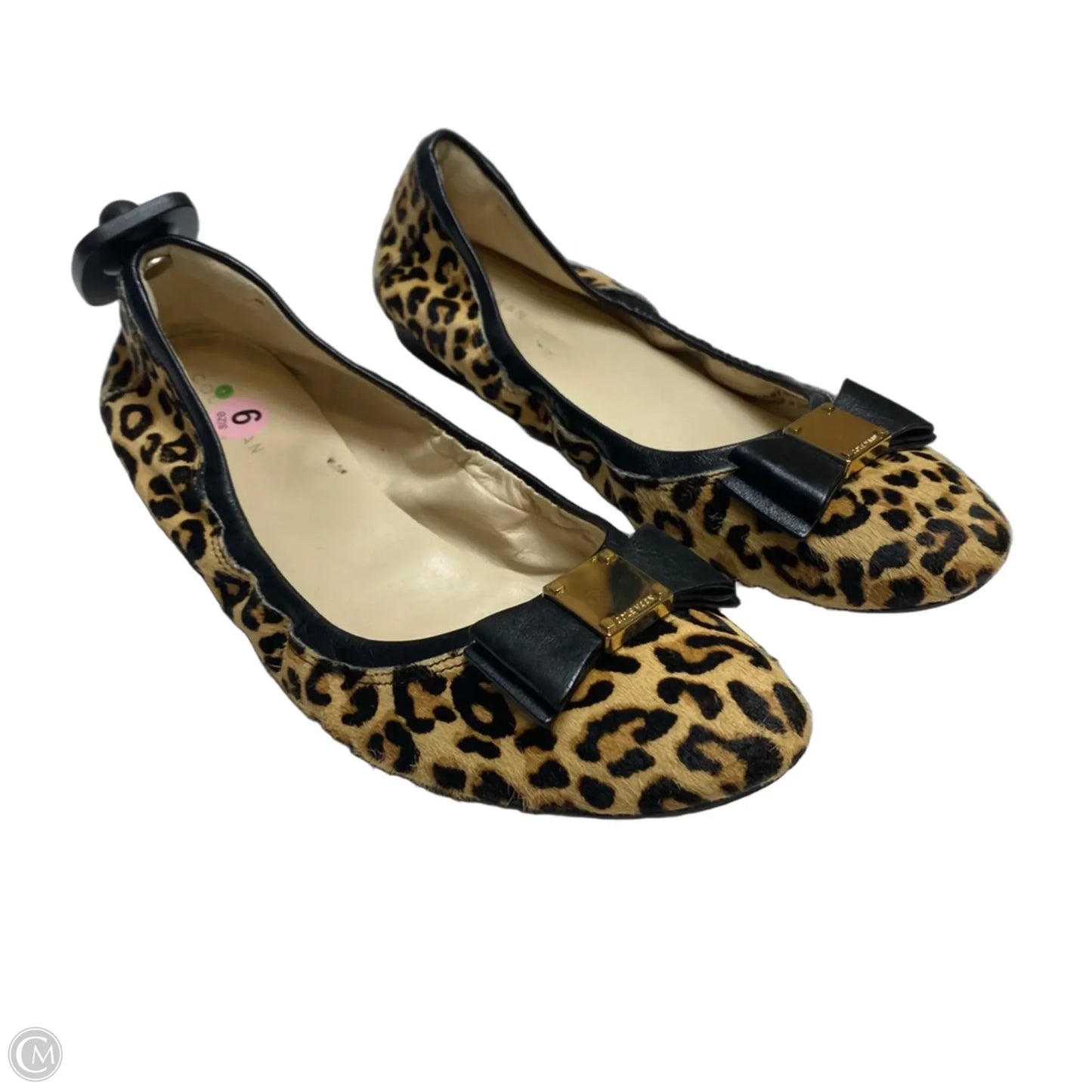 Shoes Designer By Cole-haan In Animal Print, Size: 9