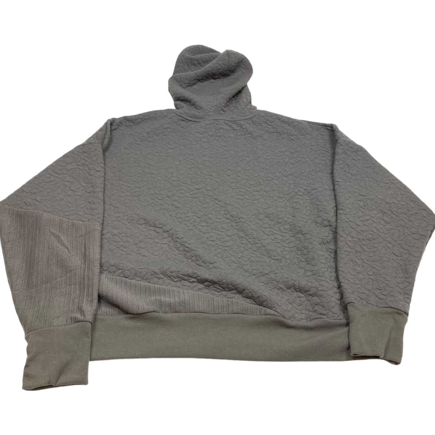 Sweatshirt Hoodie By Tahari By Arthur Levine In Grey, Size: 2x