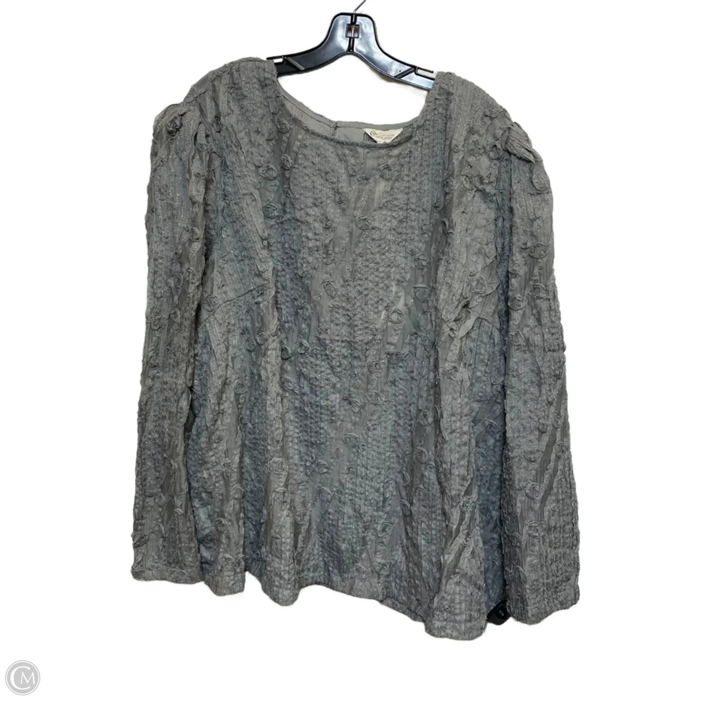Top Long Sleeve By Cato In Grey, Size: 4x