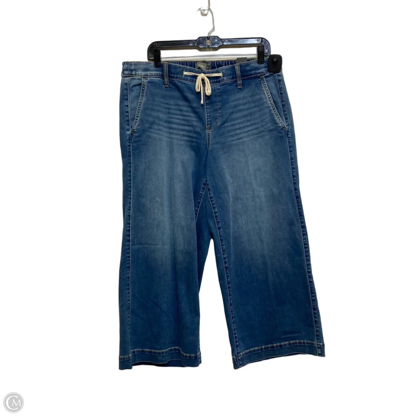 Jeans Wide Leg By Torrid In Blue, Size: L