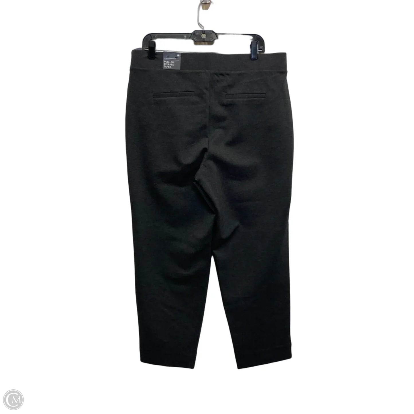 Pants Set 2pc By Torrid In Grey, Size: 1x