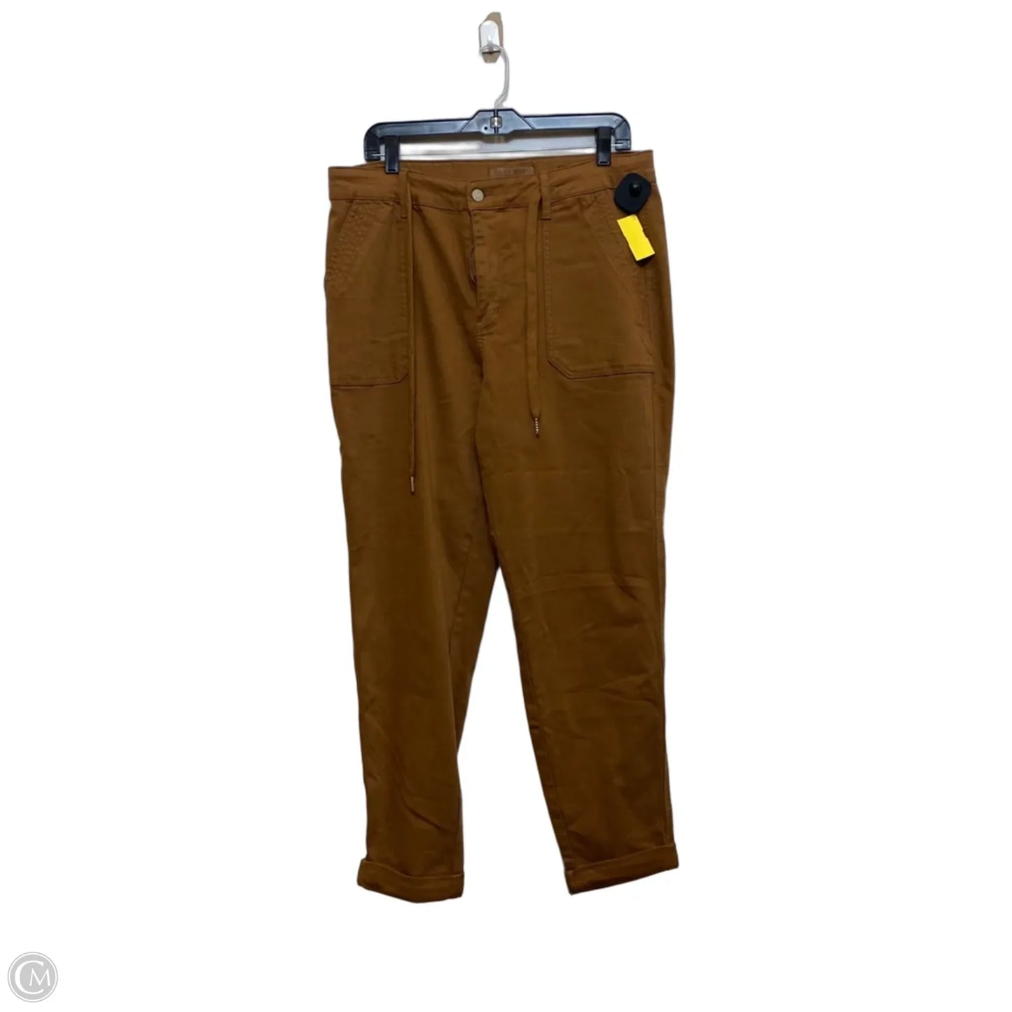 Jeans Skinny By Judy Blue In Brown, Size: 14