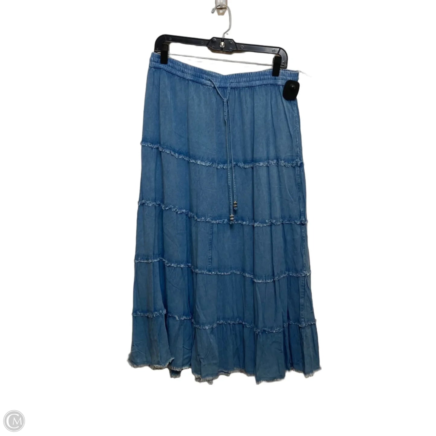 Skirt Maxi By Cato In Blue, Size: L