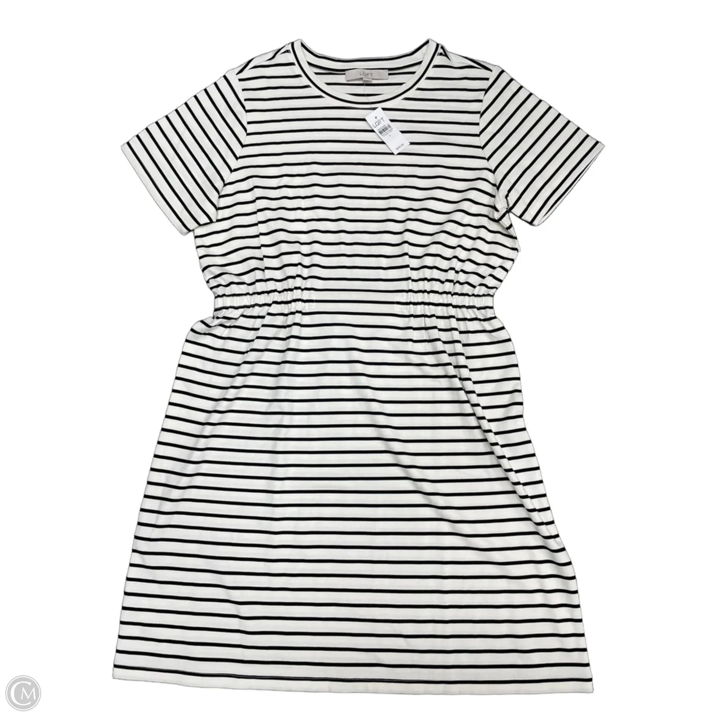 Dress Casual Short By Loft In Striped Pattern, Size: L
