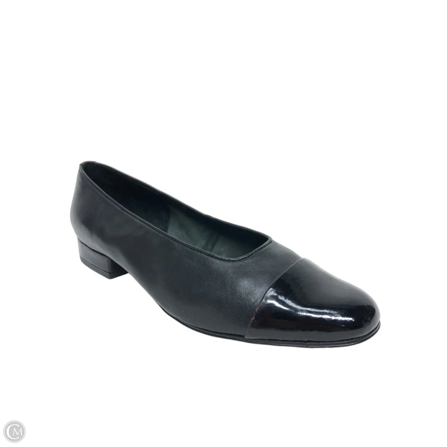 Shoes Heels Block By Vaneli In Black, Size: 8