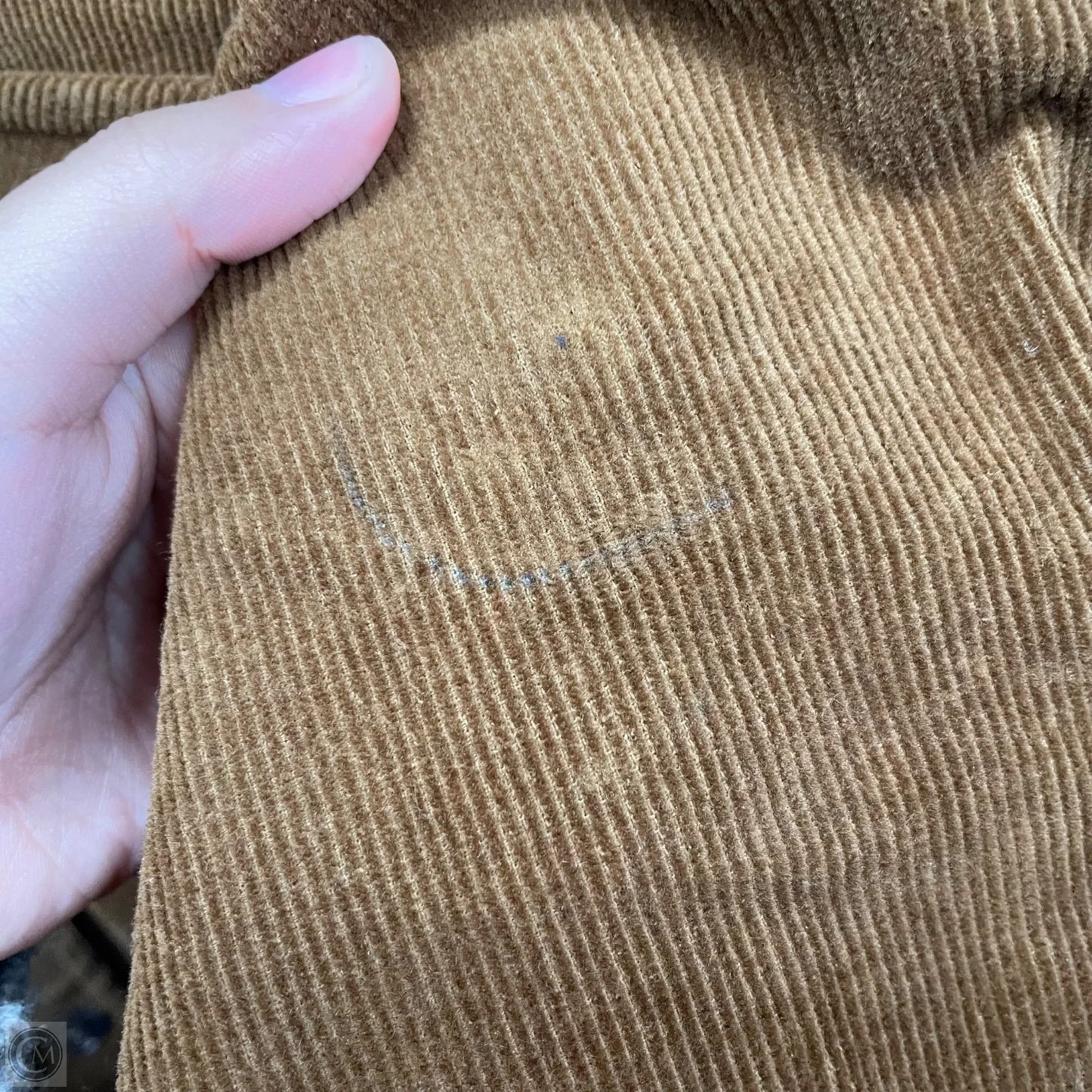 Jacket Shirt By Gianni Bini In Brown, Size: L