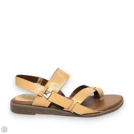 Sandals Flats By Franco Sarto In Brown, Size: 8.5