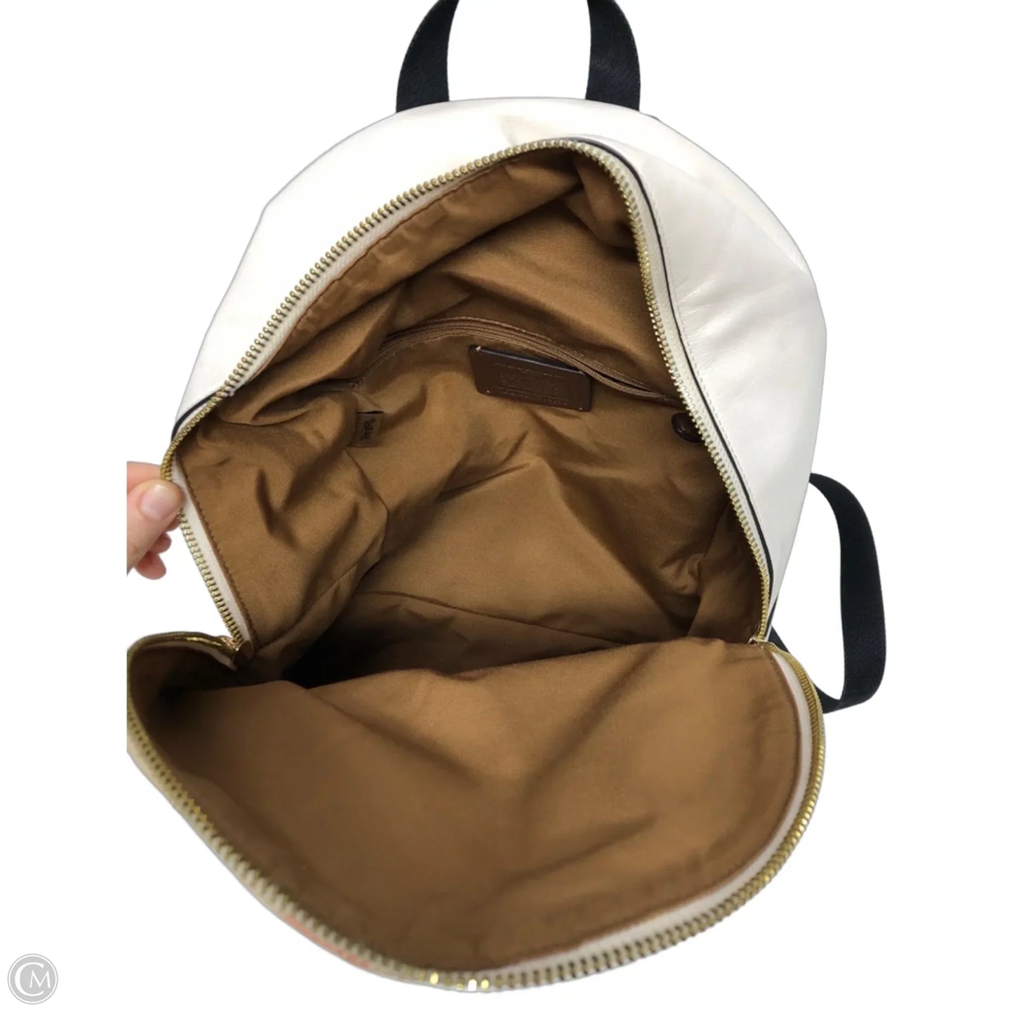 Backpack Designer By Coach, Size: Small