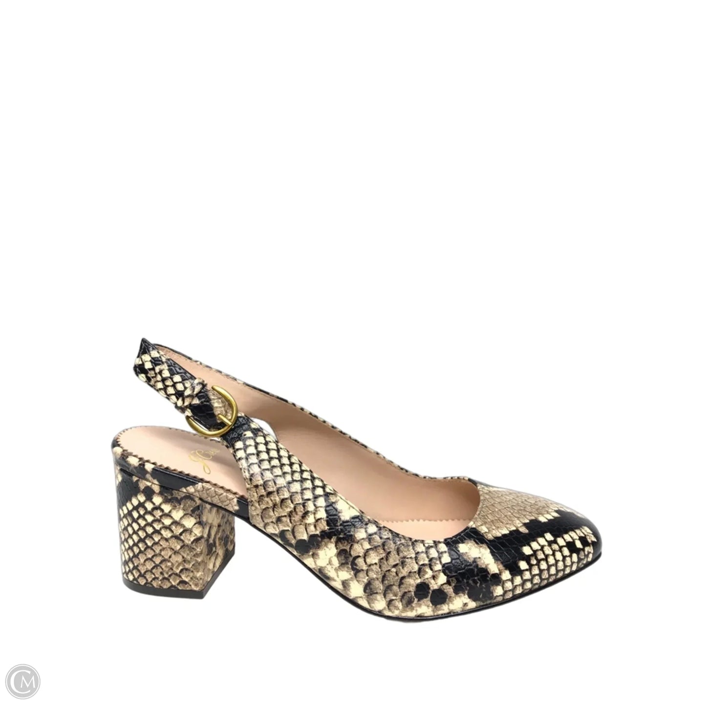 Shoes Heels Block By J. Crew In Snakeskin Print, Size: 6