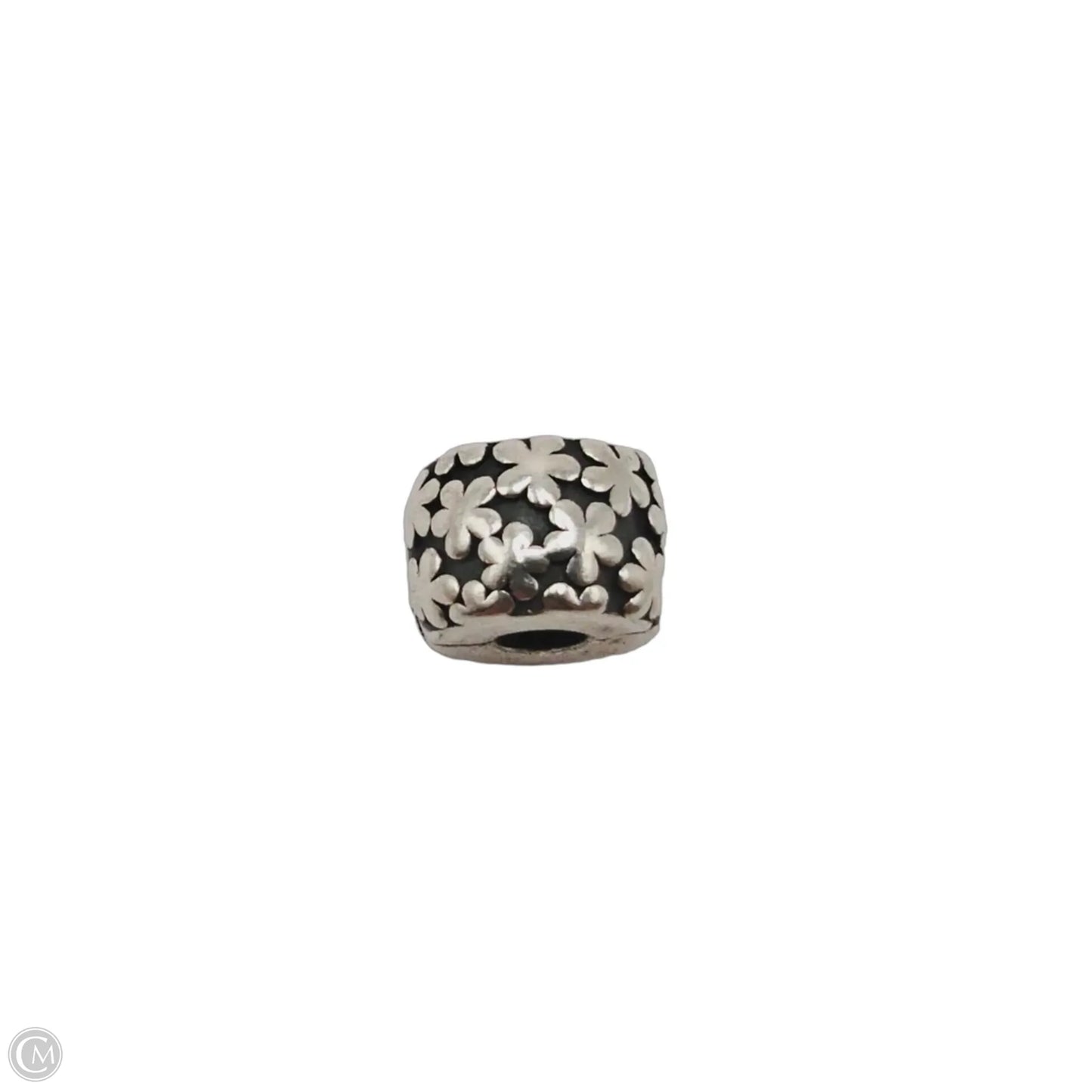 Jewelry Charm By Pandora