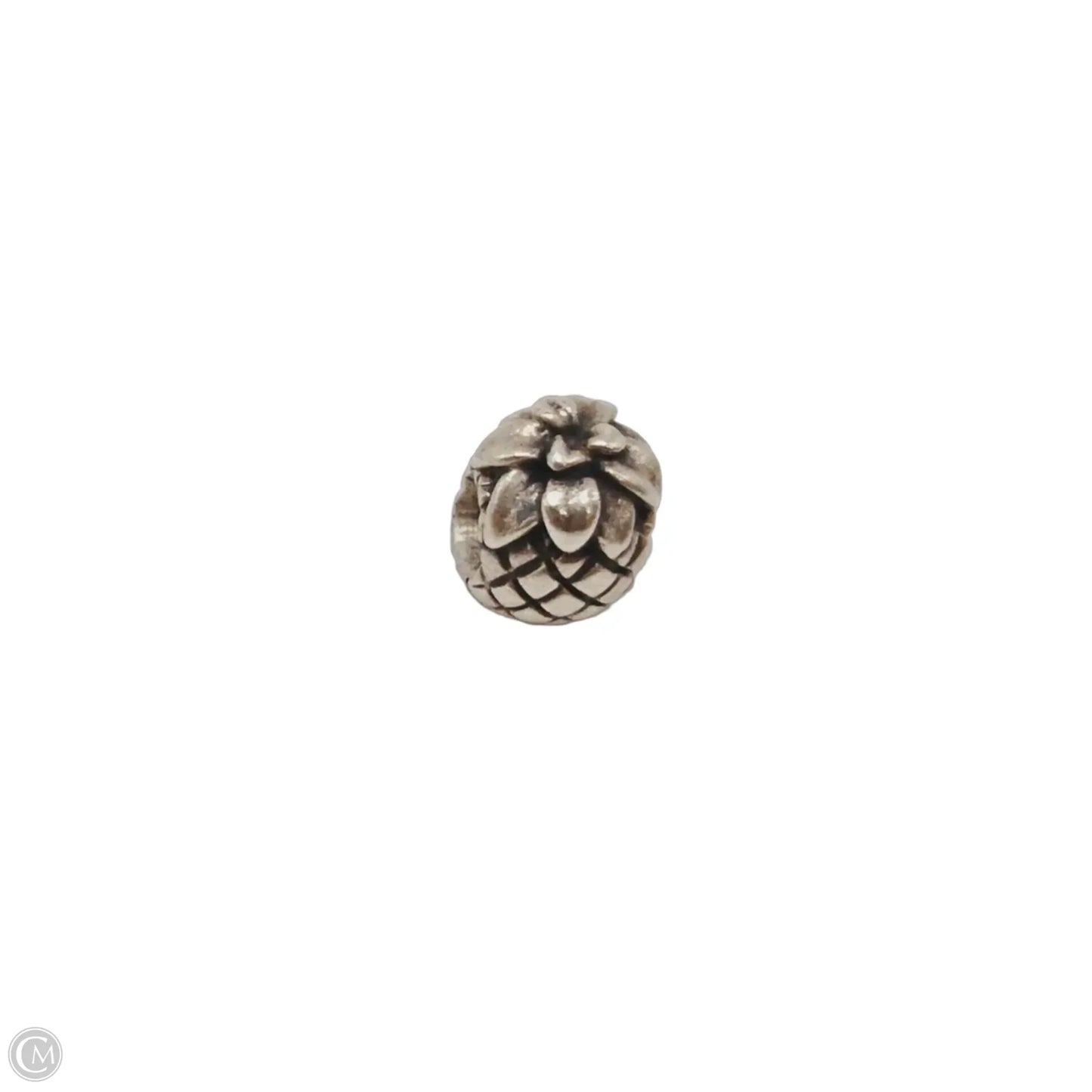 Jewelry Charm By Pandora